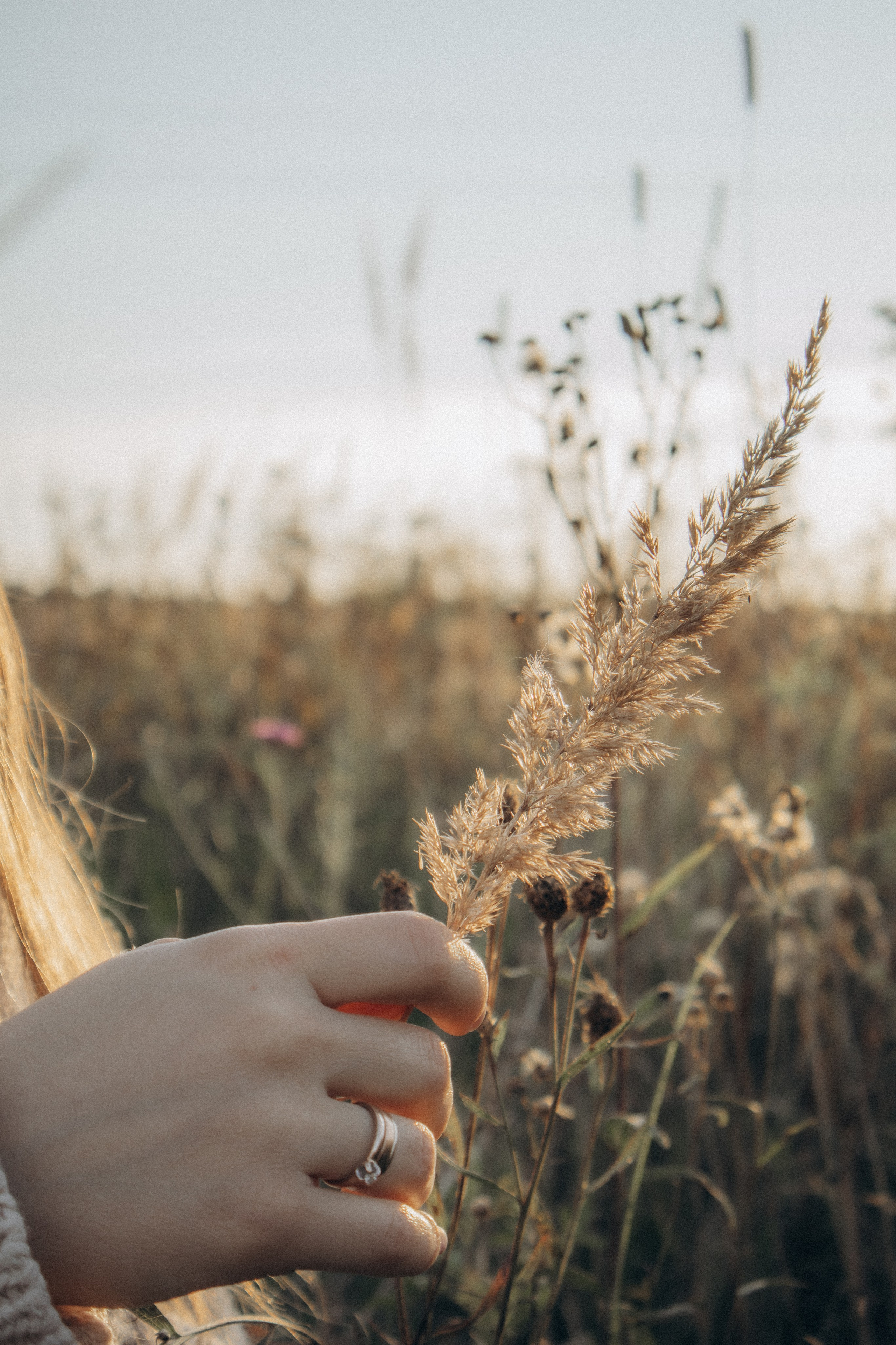 Юля. Осенняя фотосессия в поле. Юлия Левада Семейный и женский фотограф