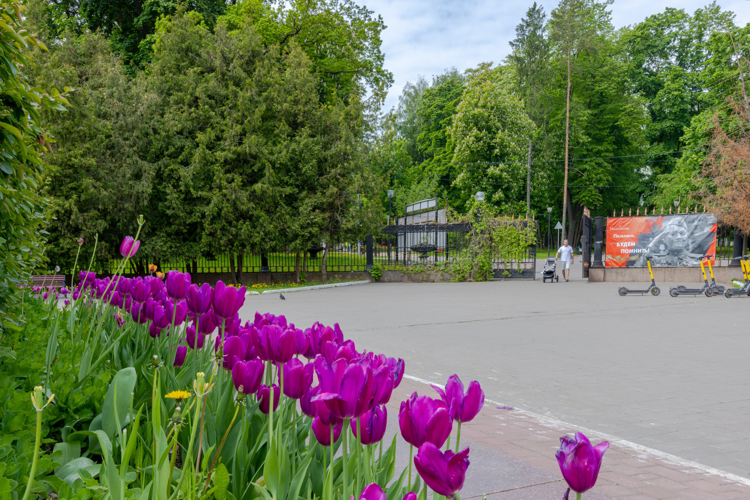 Парк им. П. П. Белоусова г. Тула 2024 г. Фотограф в Туле Крупский АнДРей. Фотостудия «КАДР71» в Туле