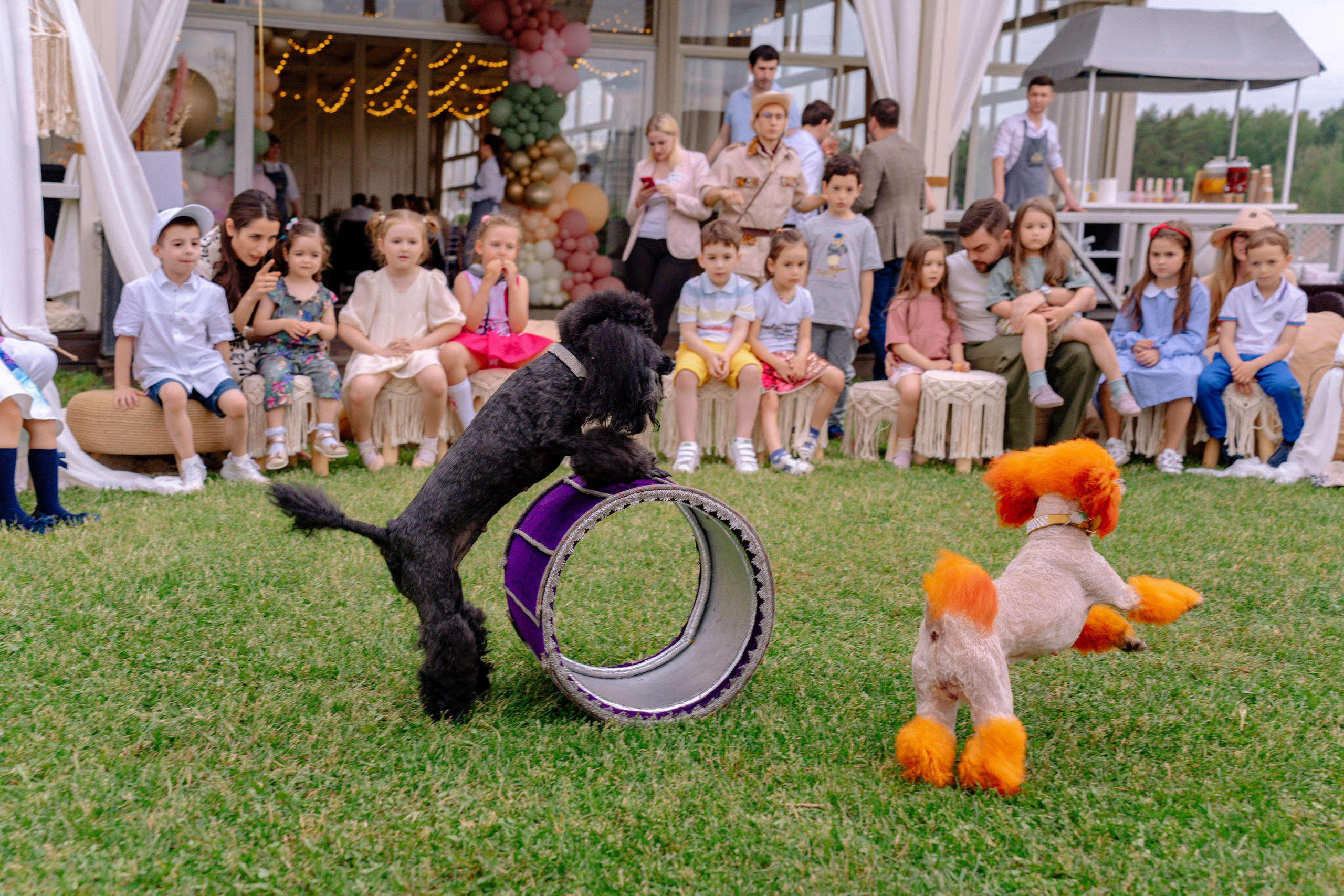 День рождения Софии в Soho Rooms