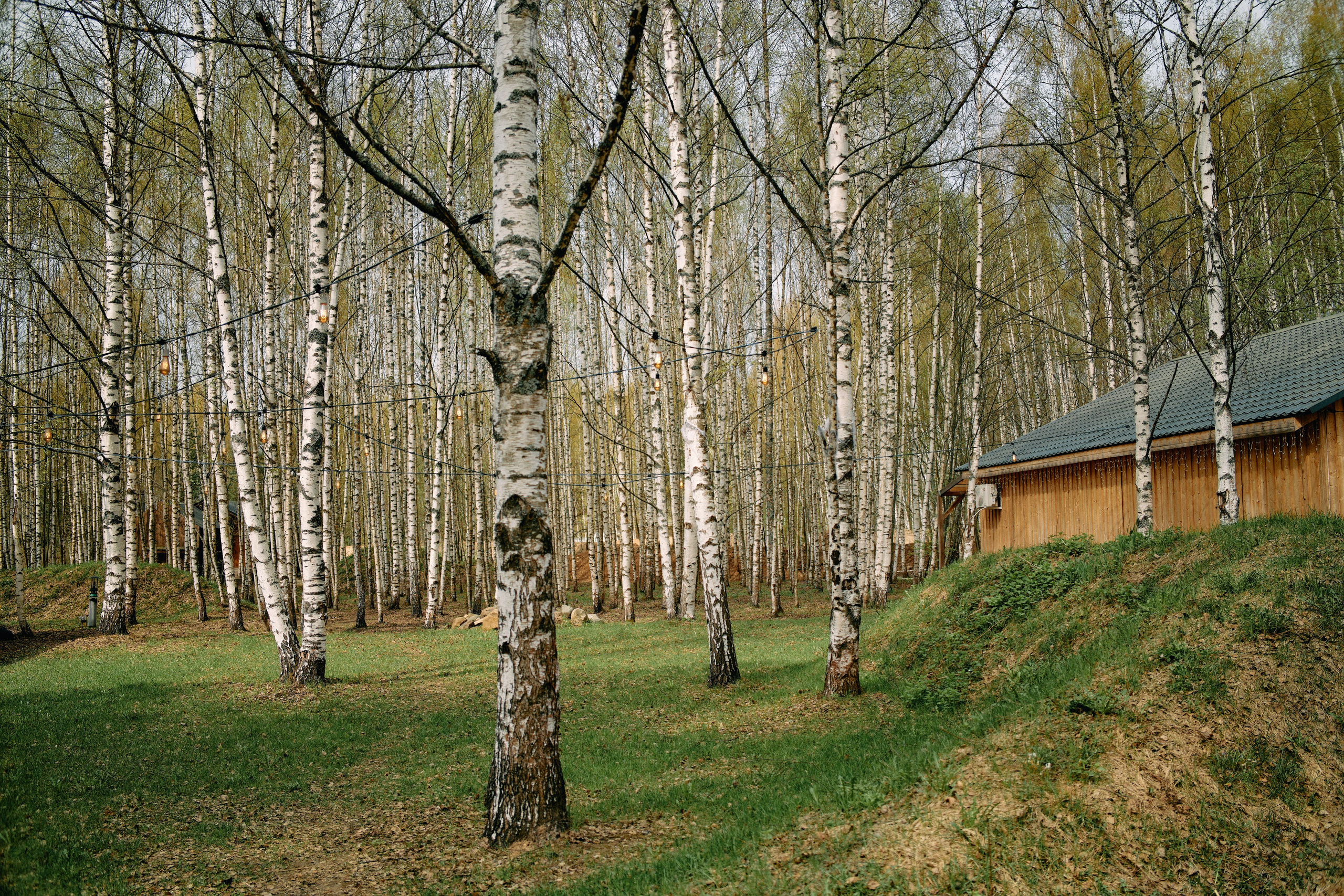 Бутик-отель Поле летом. Профессиональный Фотограф во Владимире, в Москве и в Суздале — Полина Романычева