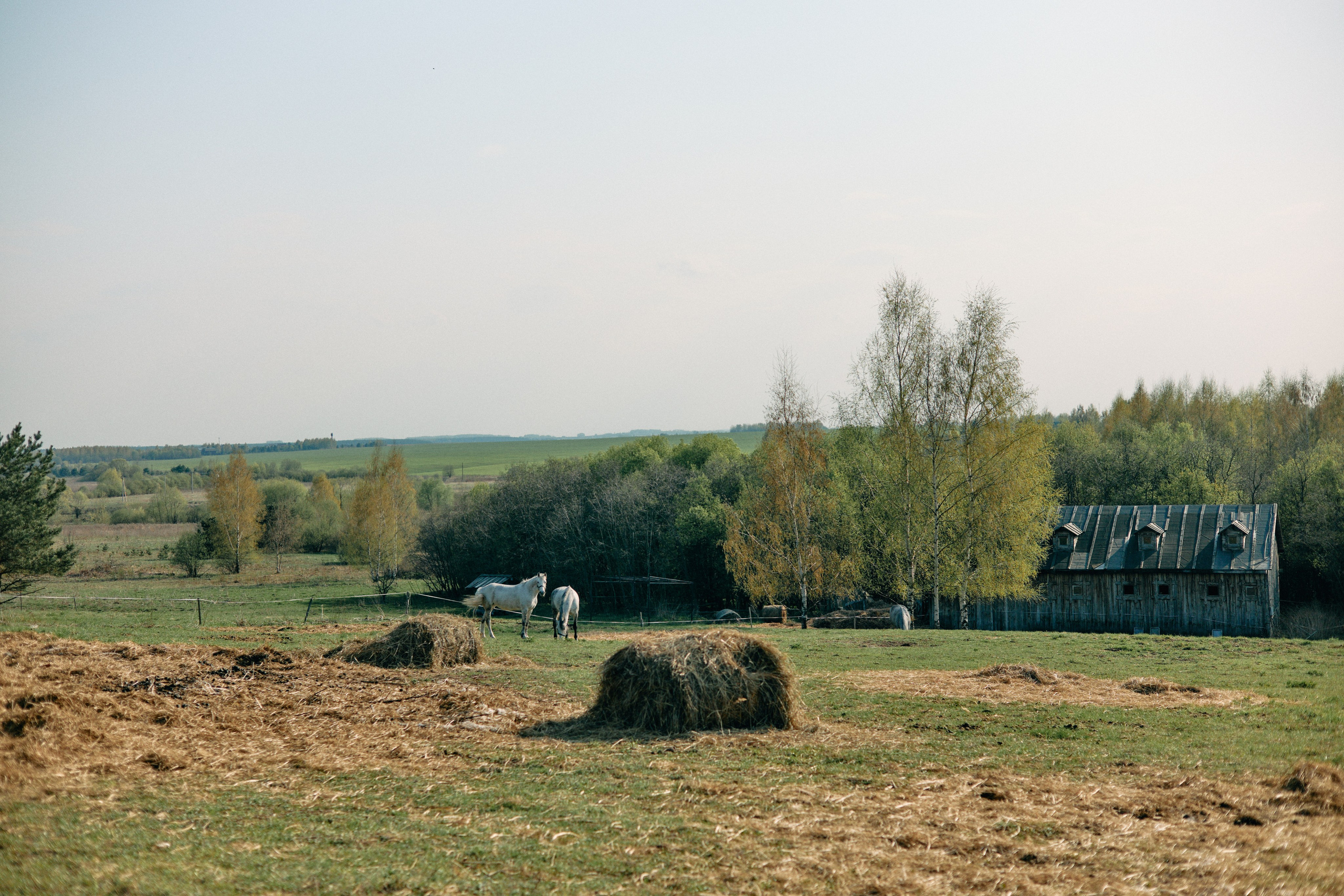 Бутик-отель Поле летом. Профессиональный Фотограф во Владимире, в Москве и в Суздале — Полина Романычева