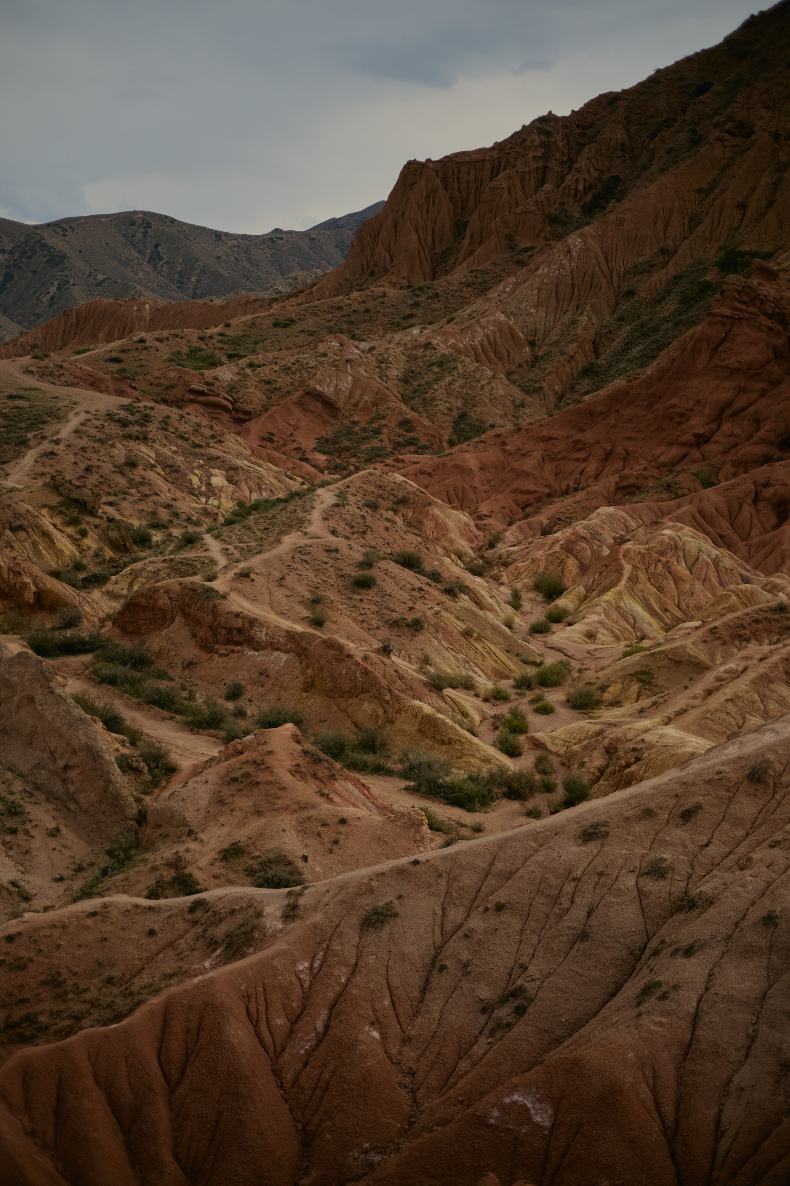 Кыргызтан. Профессиональный Фотограф во Владимире, в Москве и в Суздале — Полина Романычева