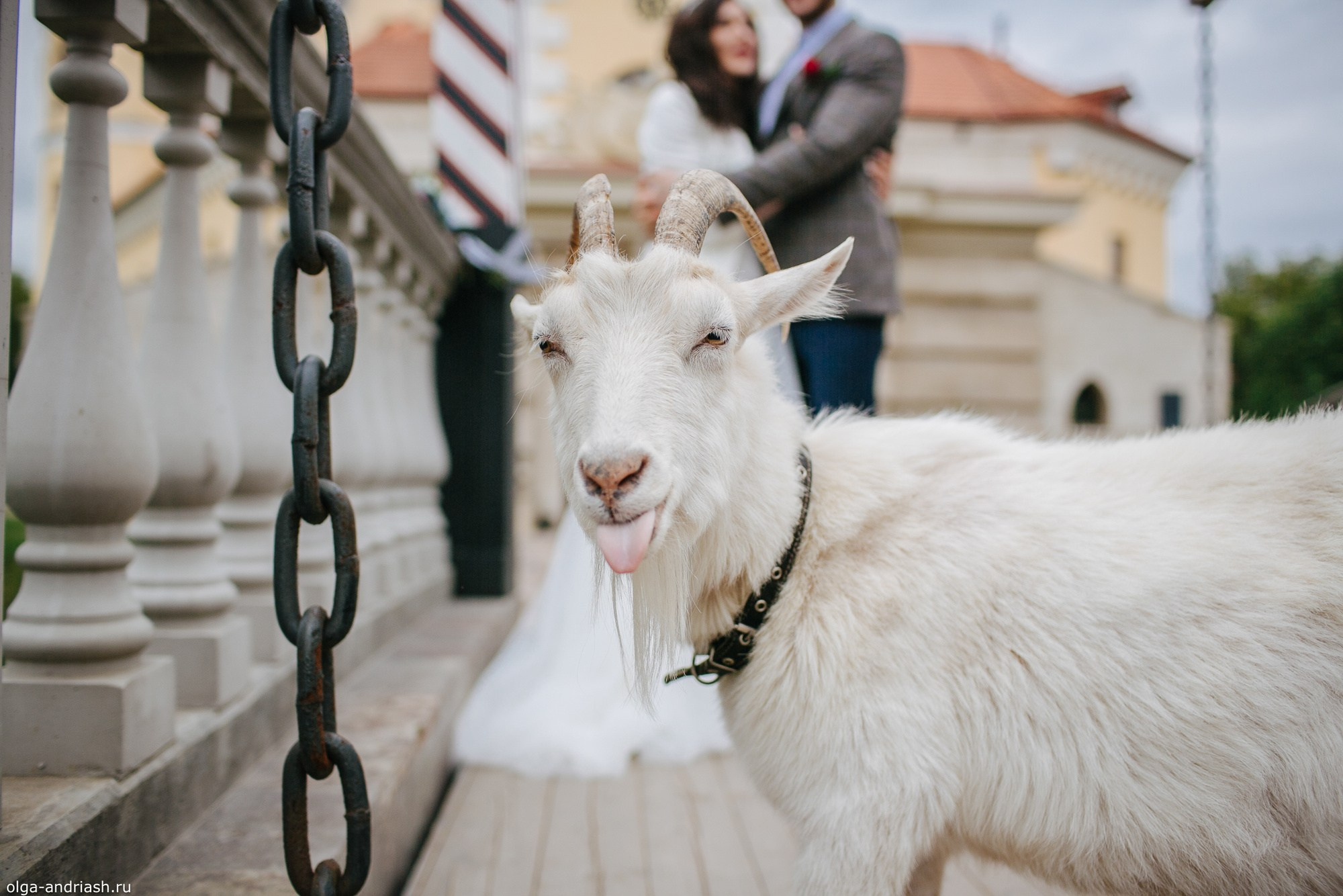 Ты в моем сентябре.... Семейный, портретный и свадебный фотограф в Санкт-Петербурге и Москве