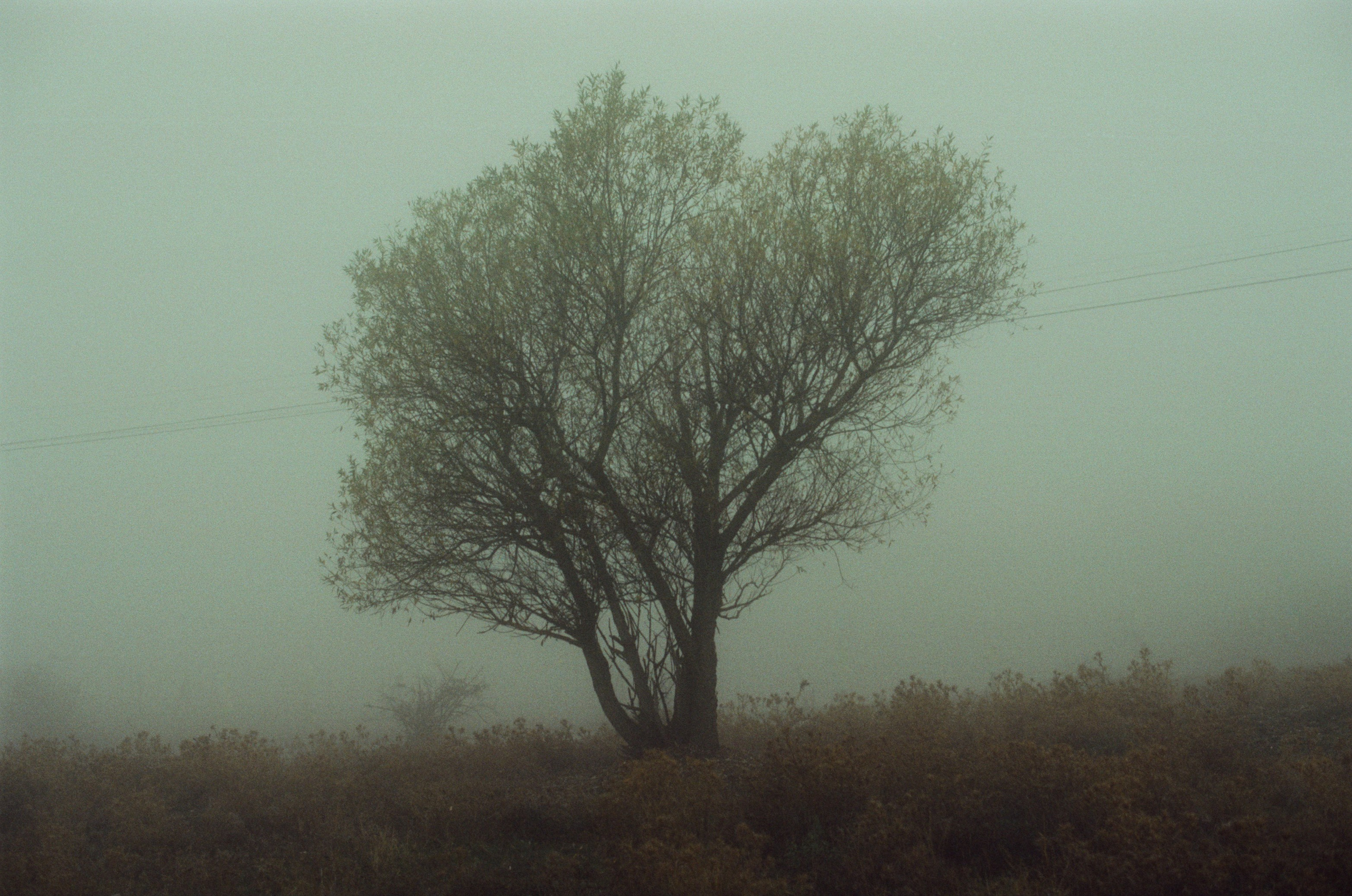 I o u // ukraine, crimea. EVER EXPOSED