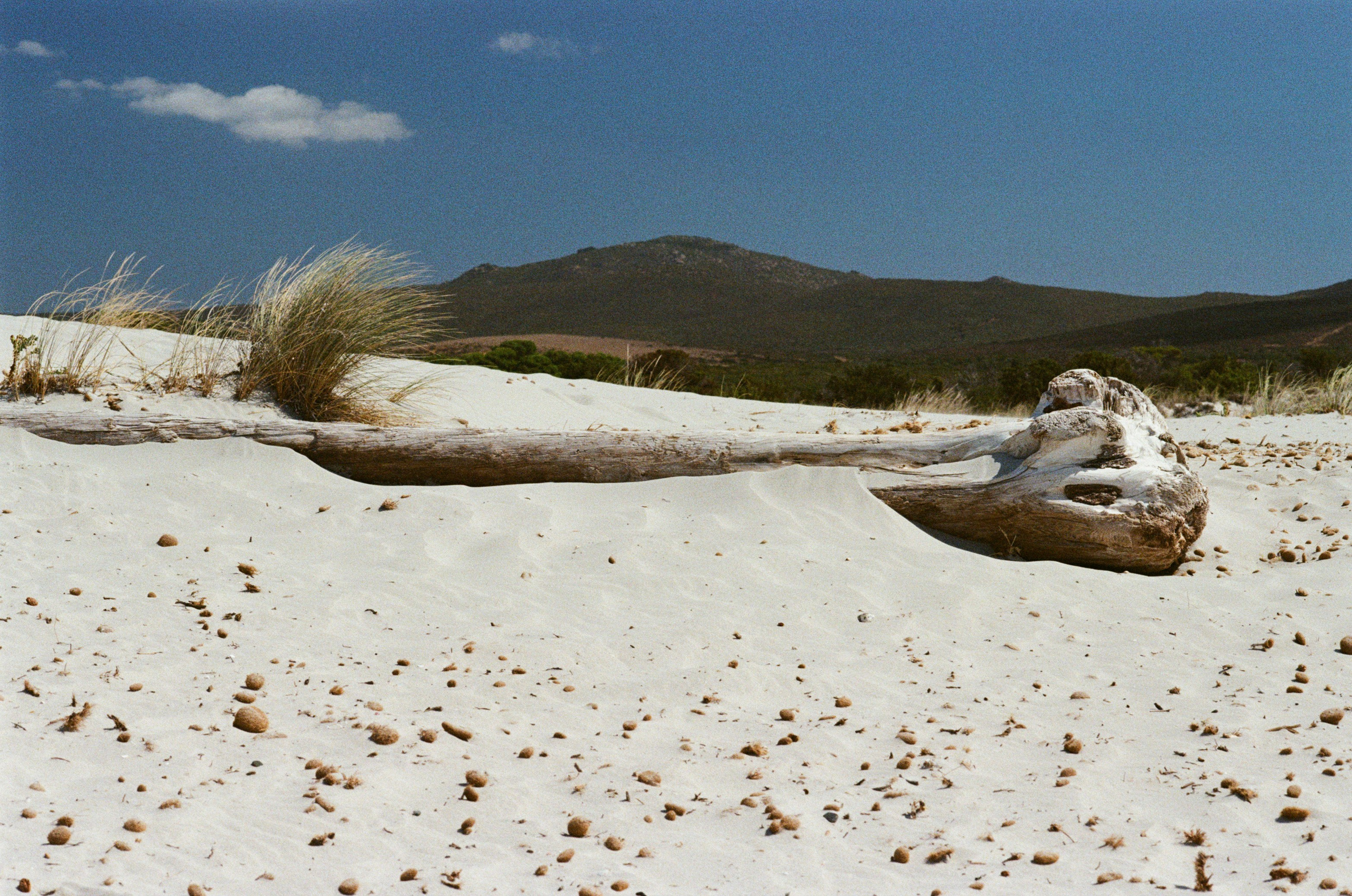 Coraline // sardinia, is arenas biancas. EVER EXPOSED