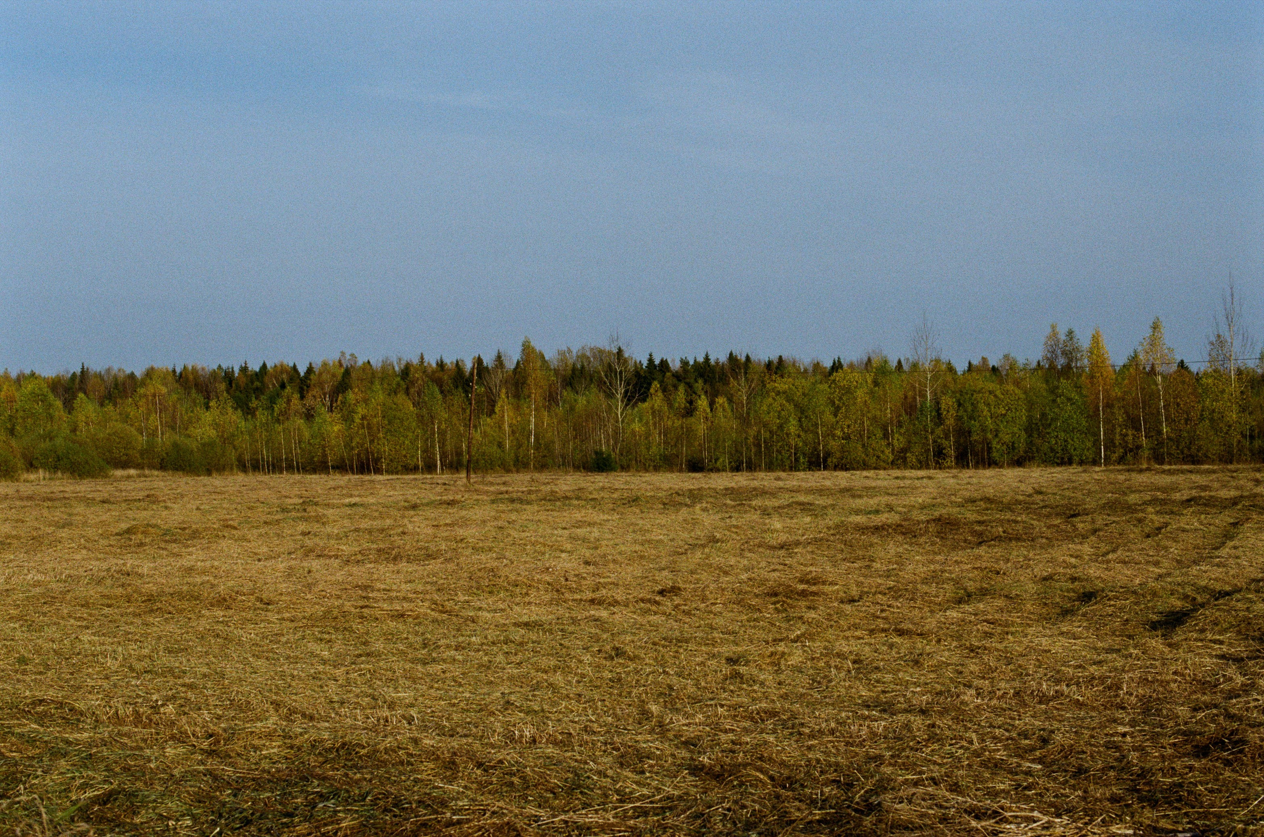 My name is dust // kostroma. EVER EXPOSED