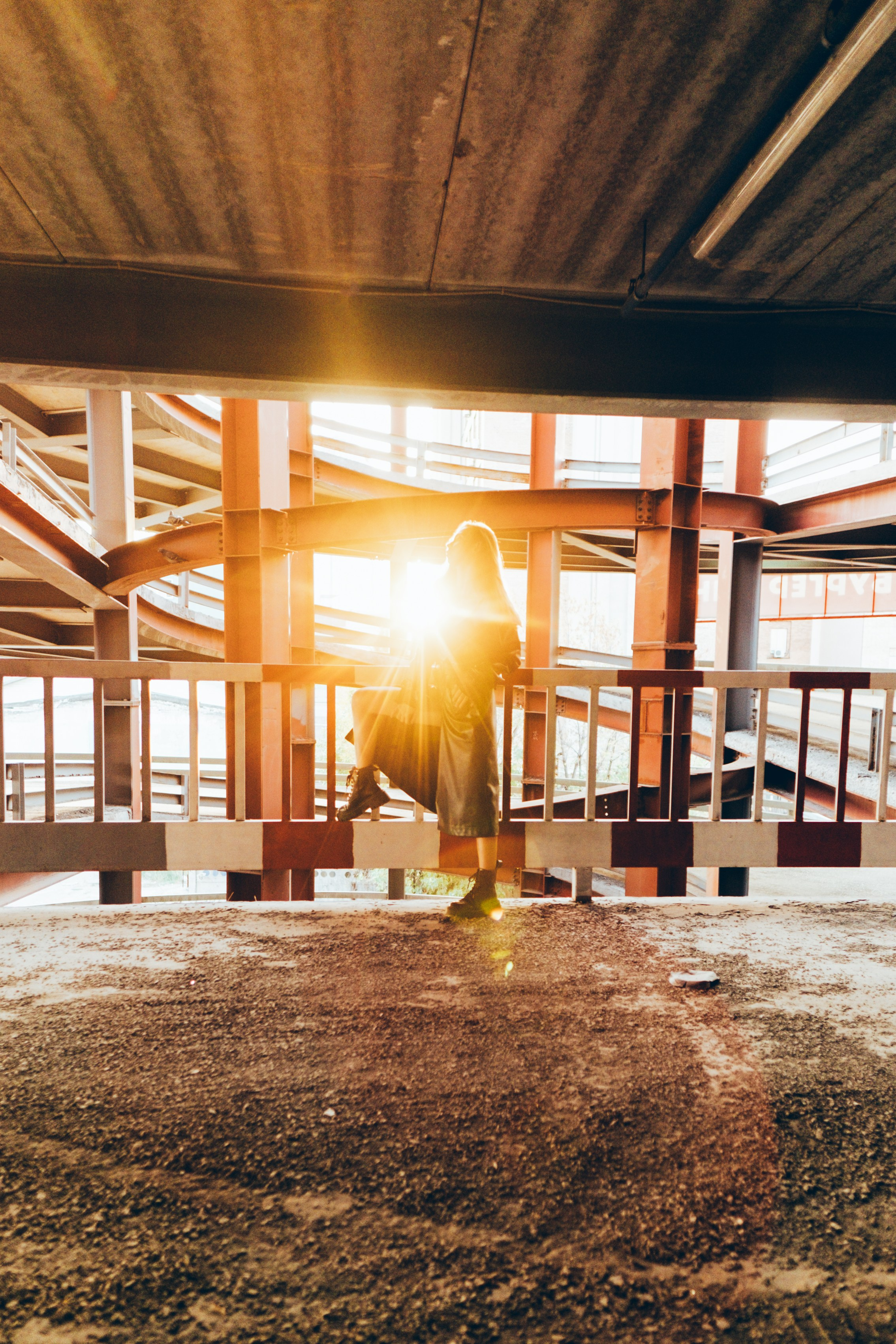 Анастасия. Дмитрий Пропадалин, Нейрофотография