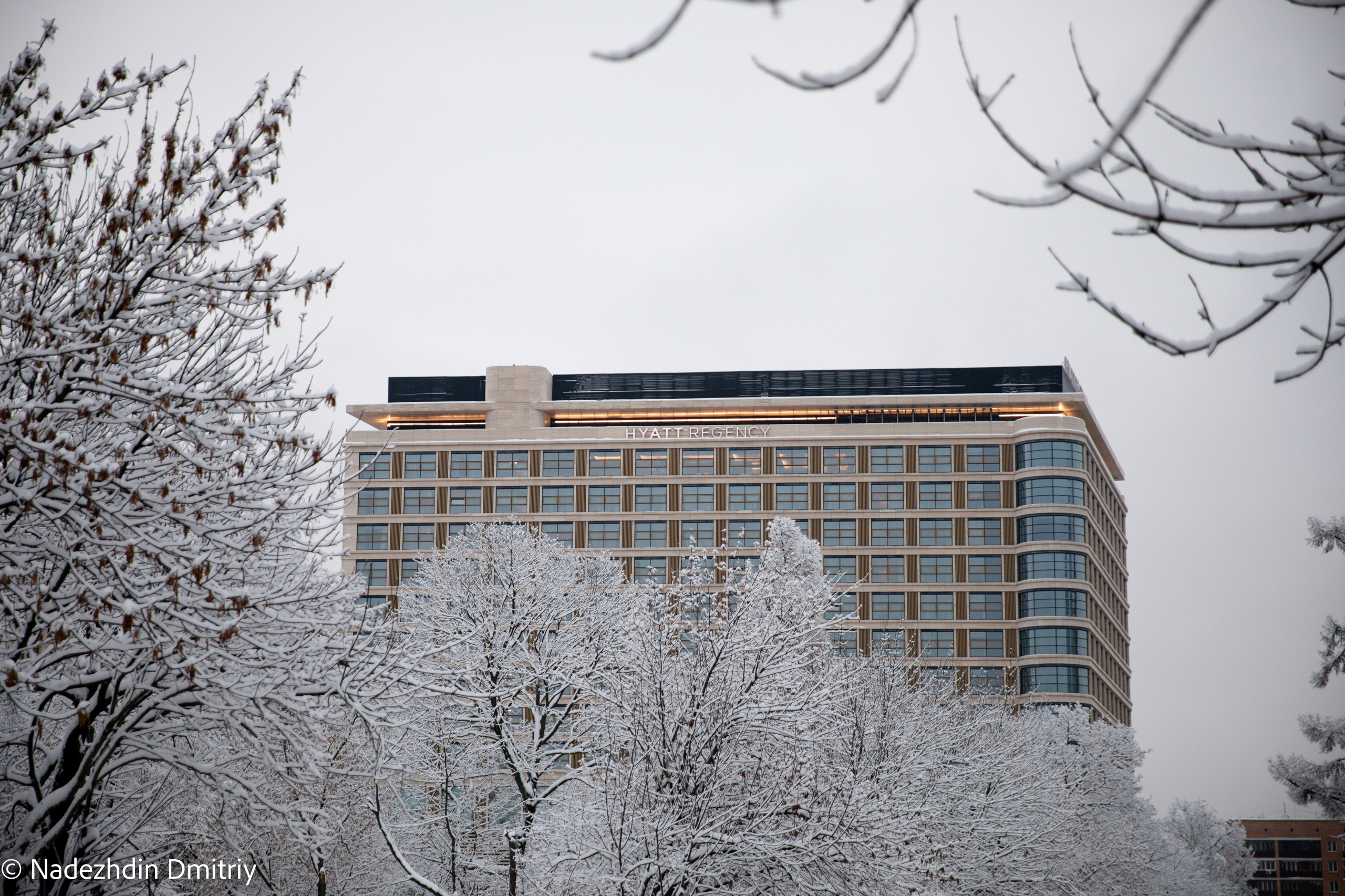 Lexus ERM. Nadezhdin Studio