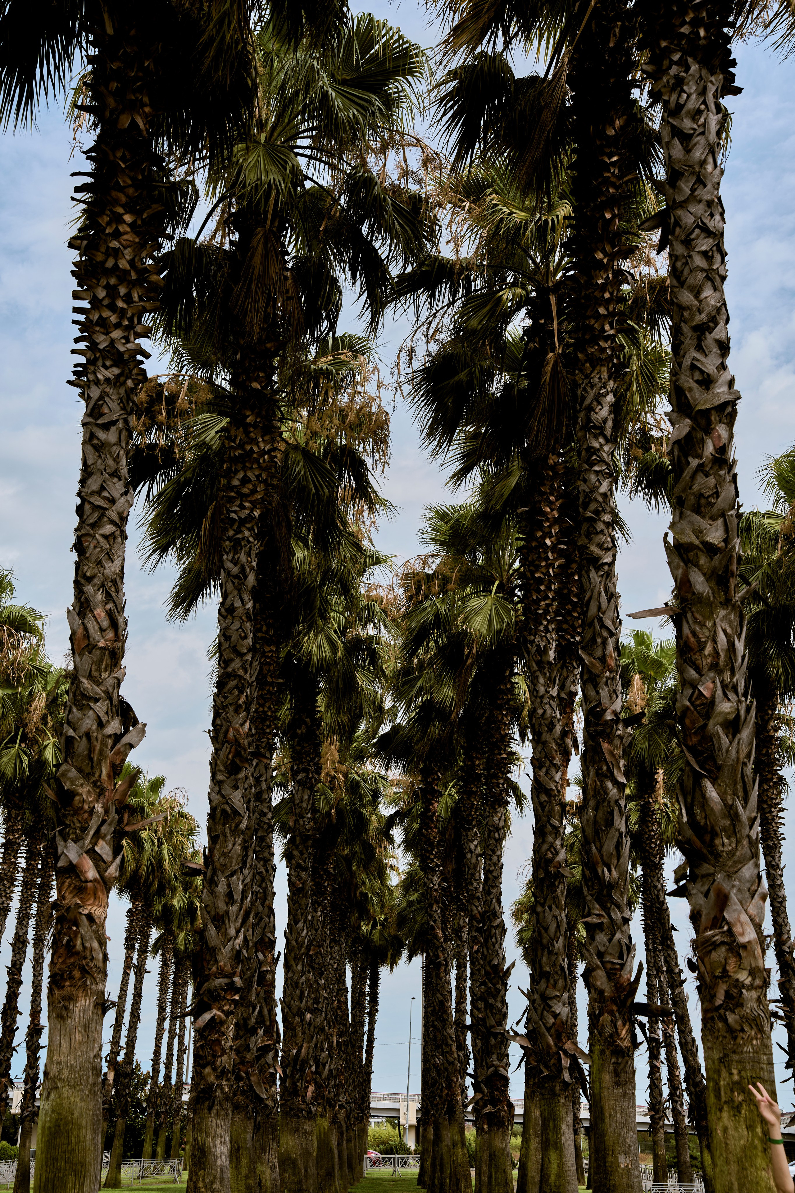 СОЧИ. Студийный фотограф в Екатеринбурге Бшари Заана