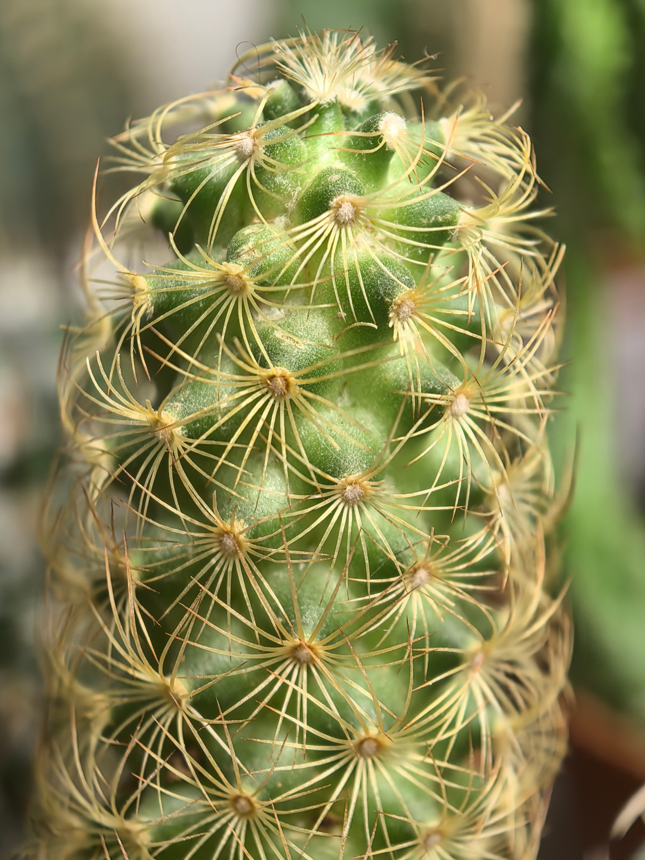 ПочтиМАКРО. Школьные выпускные альбомы в Москве Марина Николаева