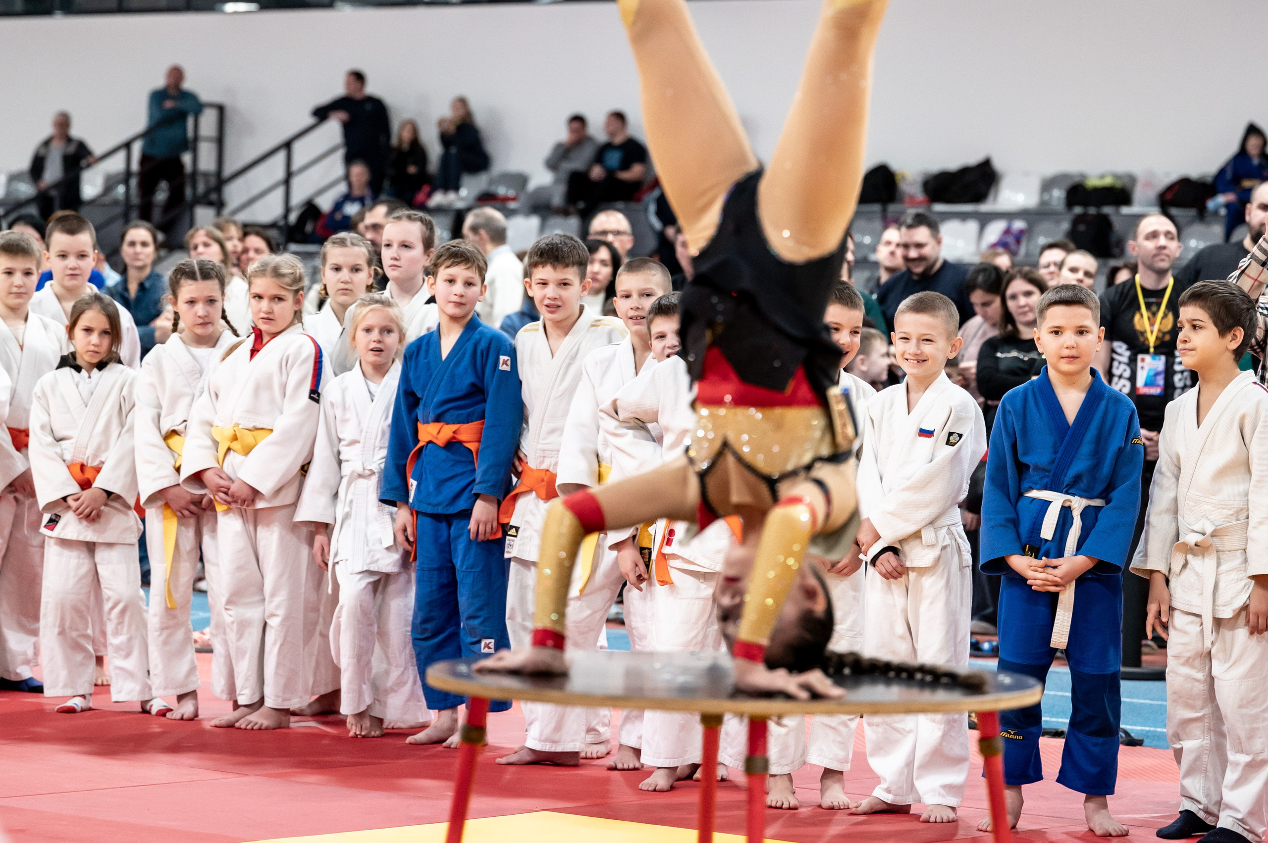 Новогодний турнир по дзюдо. Январь 2024. Спортивный фотограф в Туле и Тульской области. Файсханова Фото Спорт