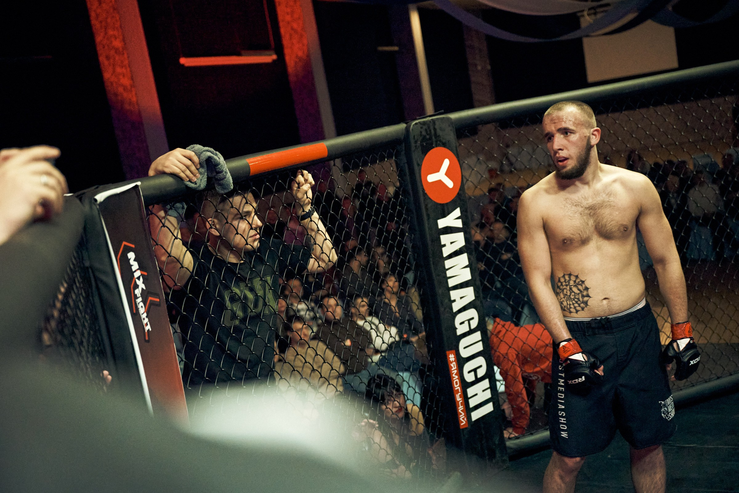 Бои. Маляревич Дмитрий свадебный фотограф