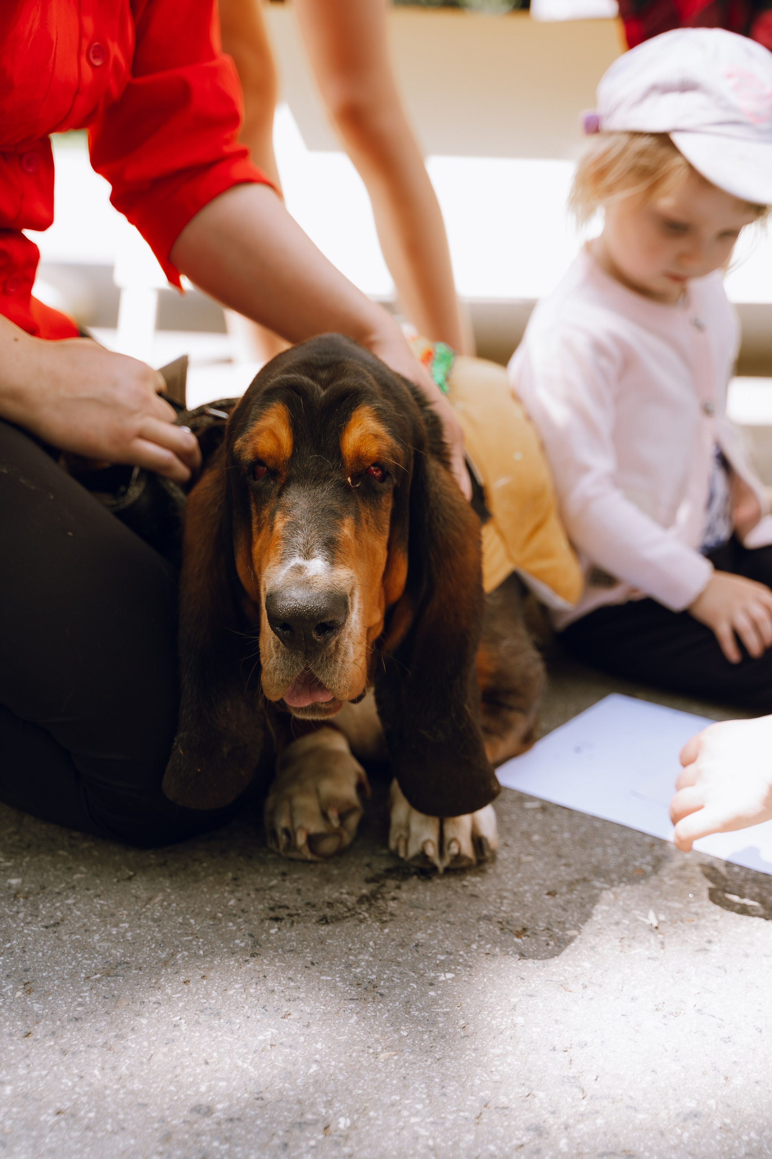 Площадка фестиваля «Мампус и его друзья» в Лесопарке 2025. Фотограф Надежда Погребняк | Рязань | Москва