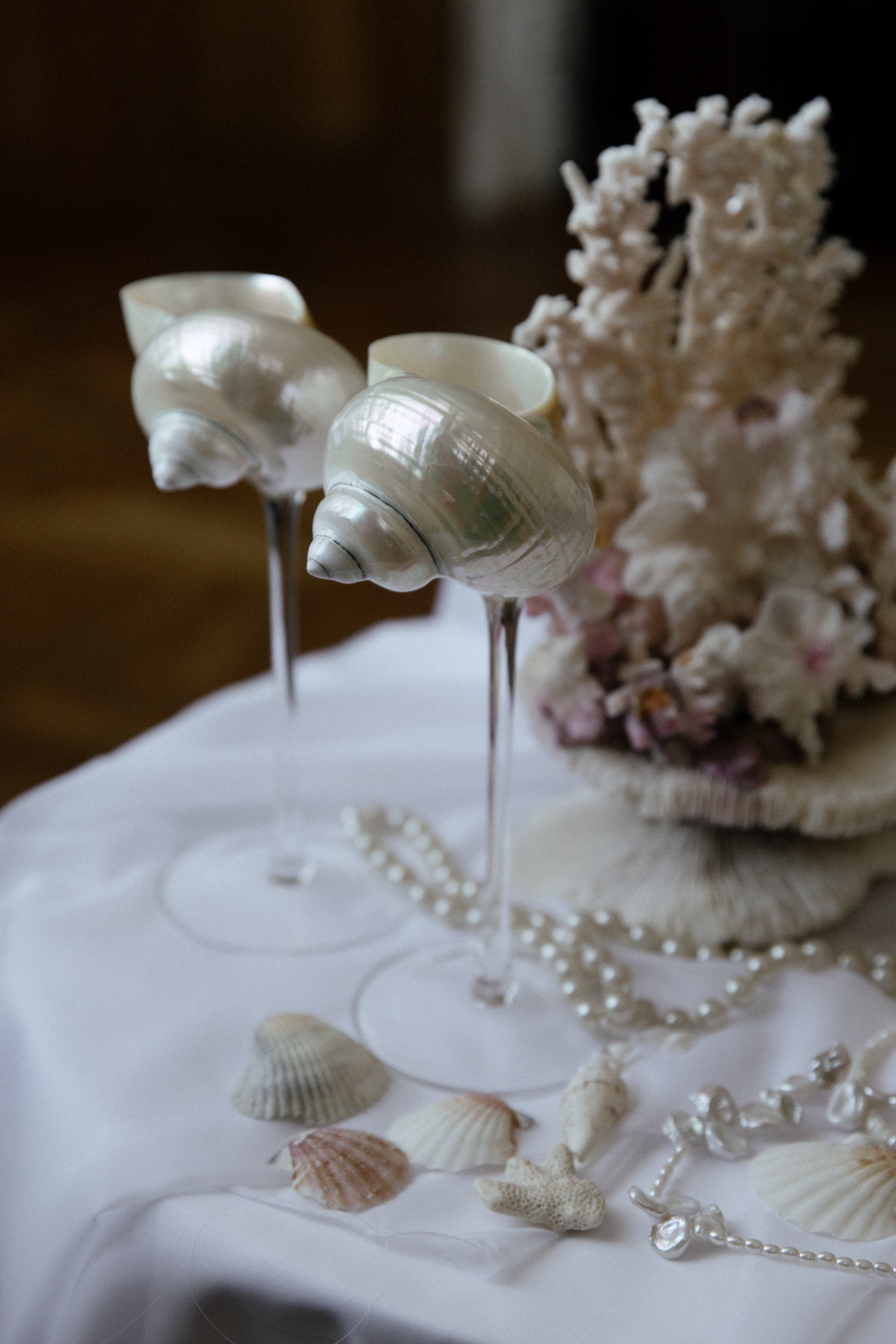 Артем, Алина и Питер. Фотограф Сергиев Посад Москва Хованская Екатерина