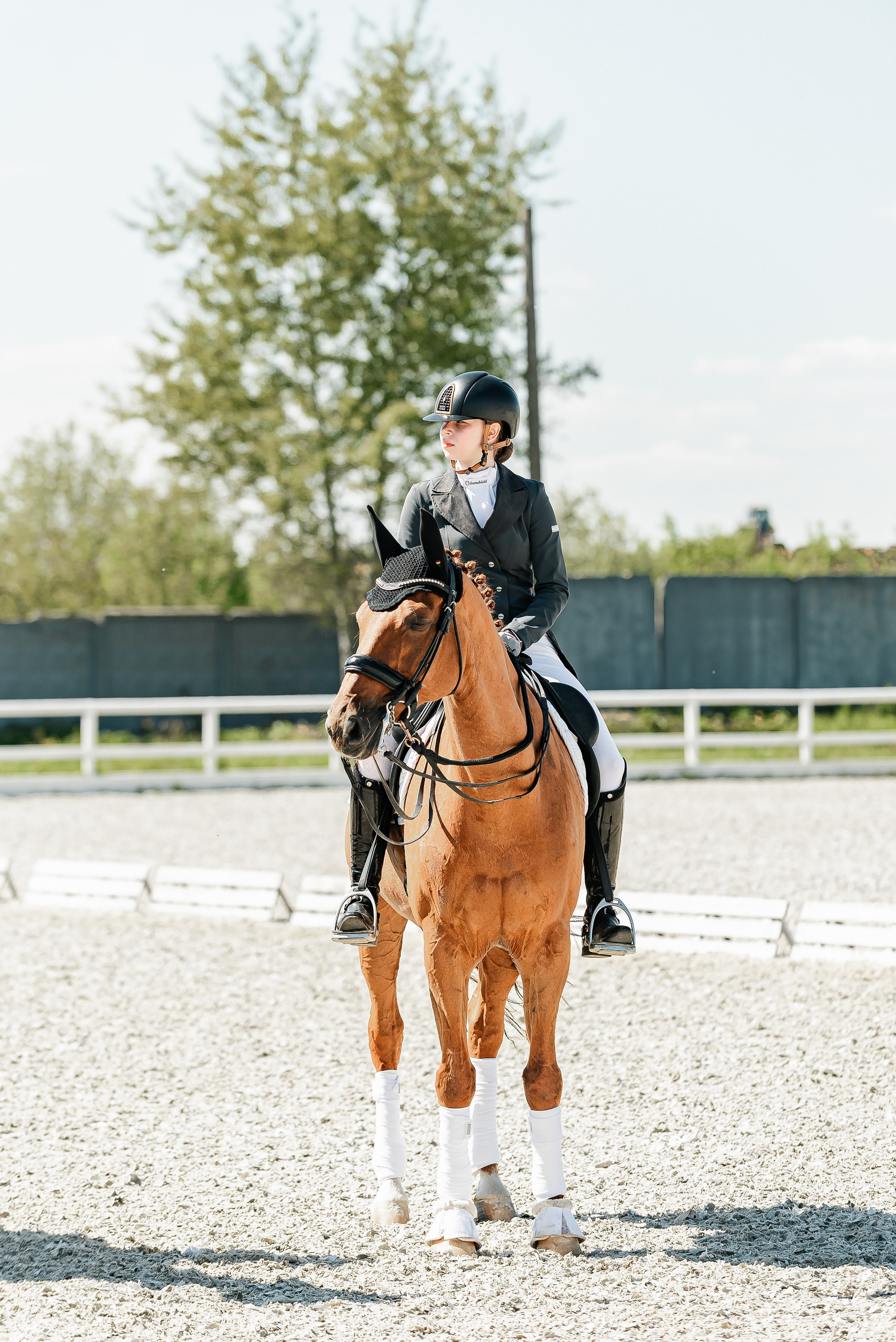 РЕПОРТАЖ МКК ВОЛЬТ «LA TULIPS». Конный фотограф Куракина Дарья • Фотосессии с лошадьми