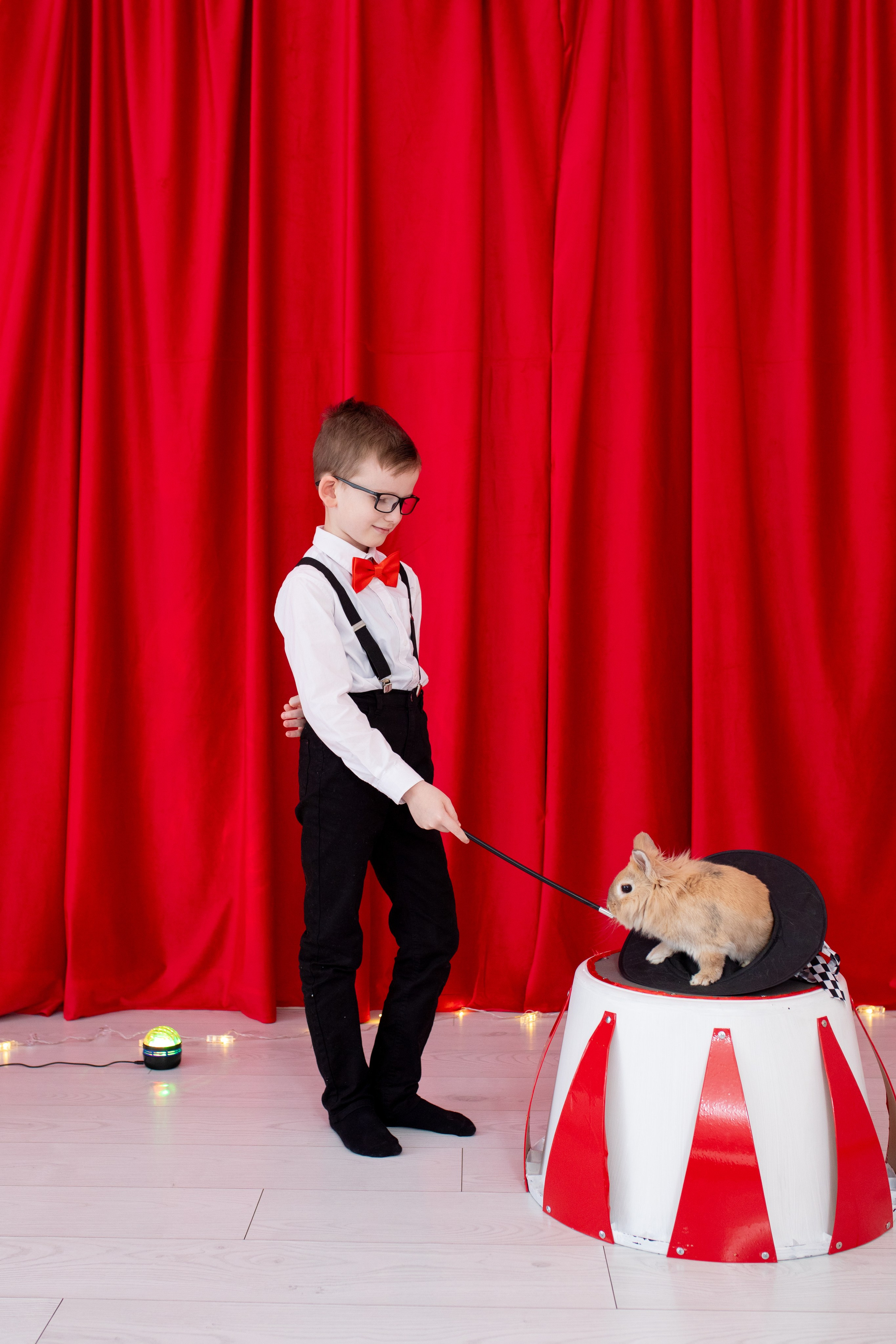 Фотодень «Цирк». Фотограф в Новосибирске Ася Зверева