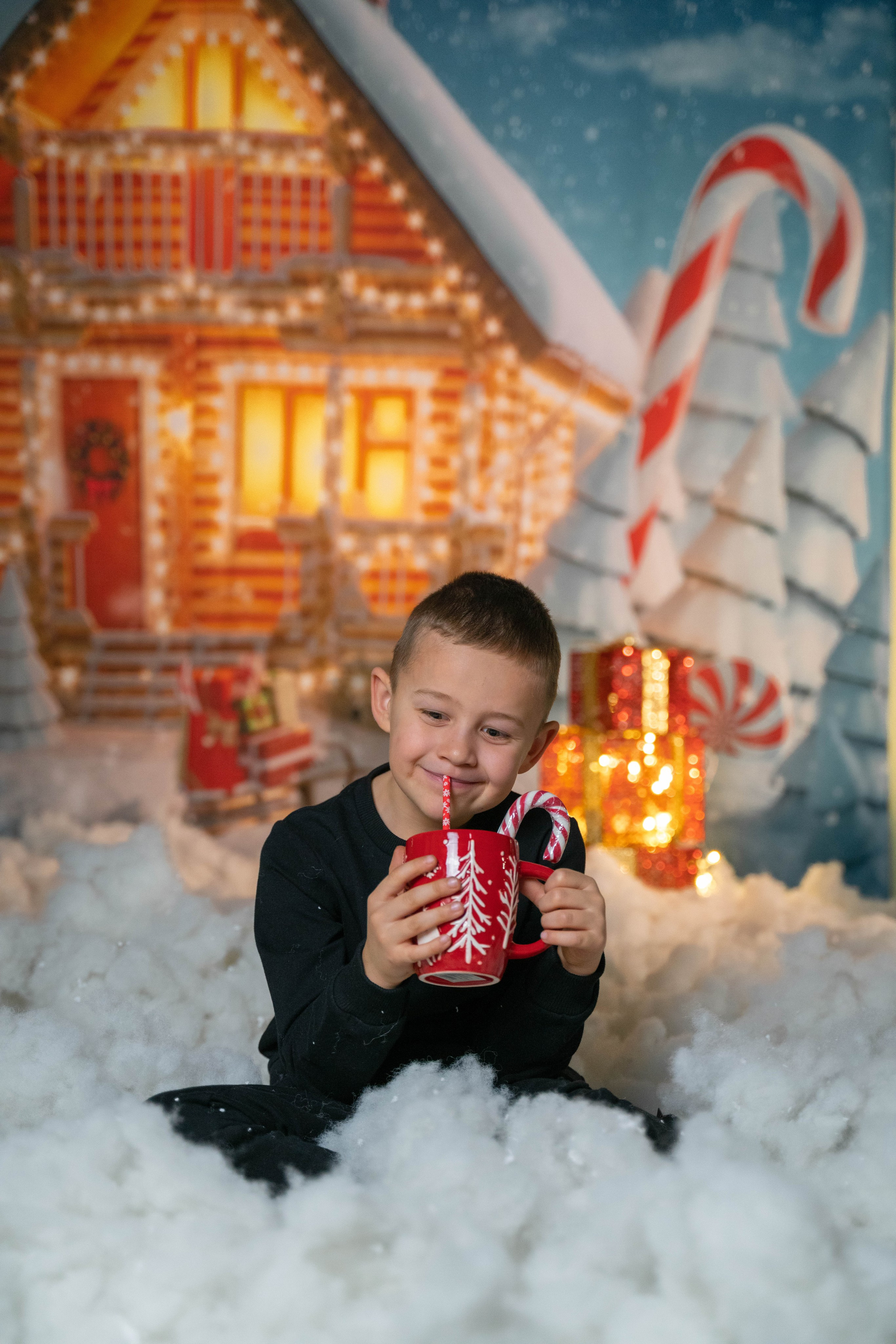 Новогодний фотопроект. ALISON FILMS