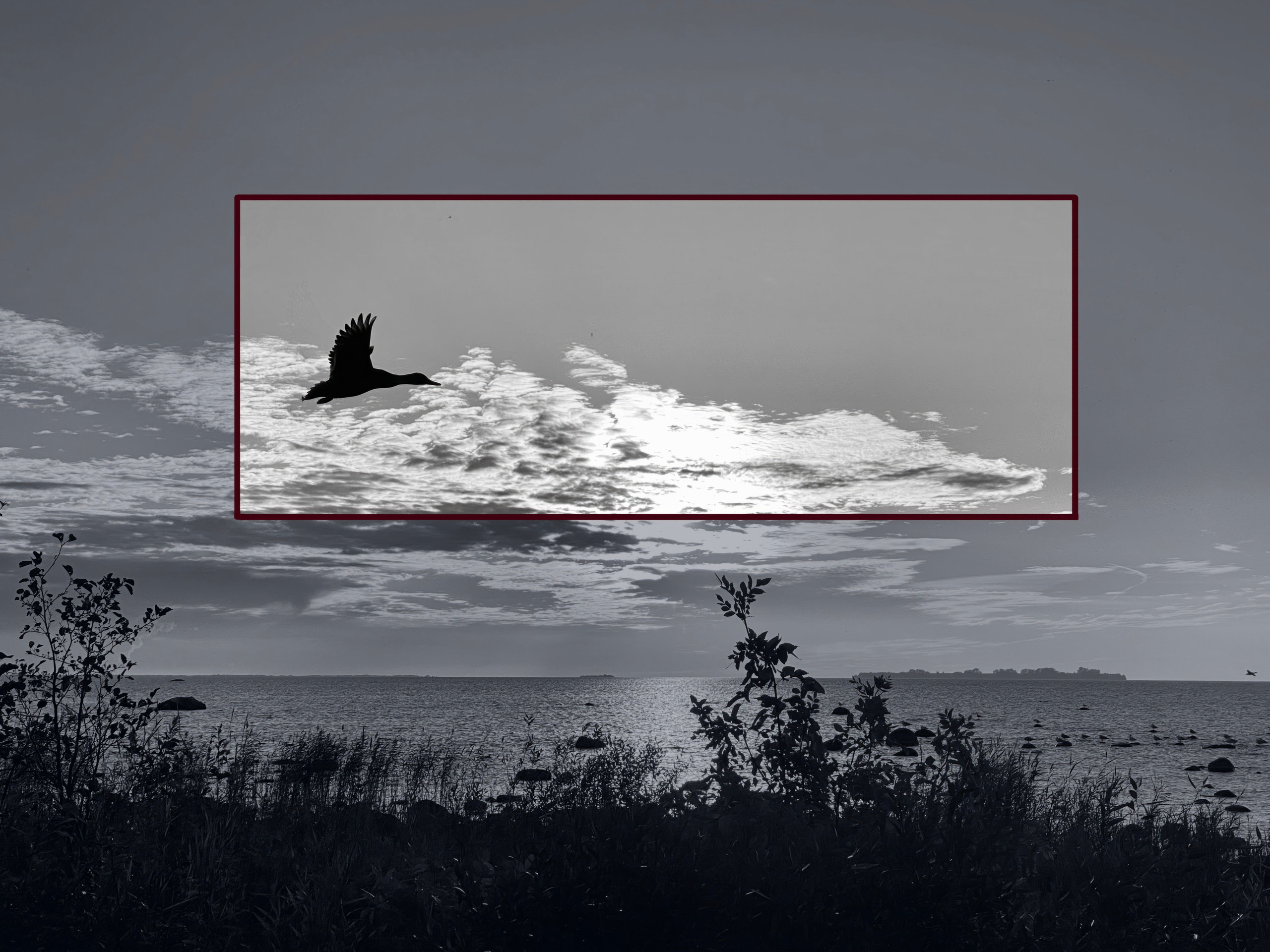 Zoom — авторская фотография Ма. Ма