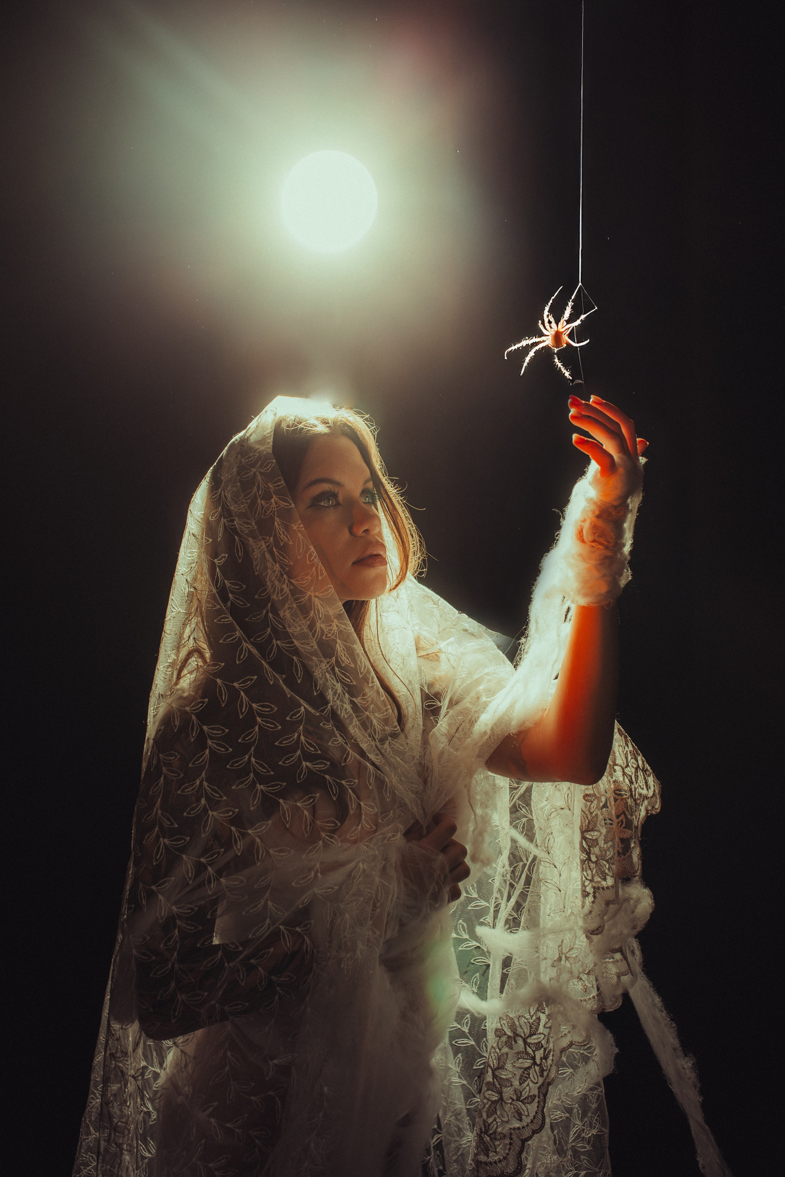 Diibae spider. Фотограф из Санкт-Петербурга Валерия Ленских