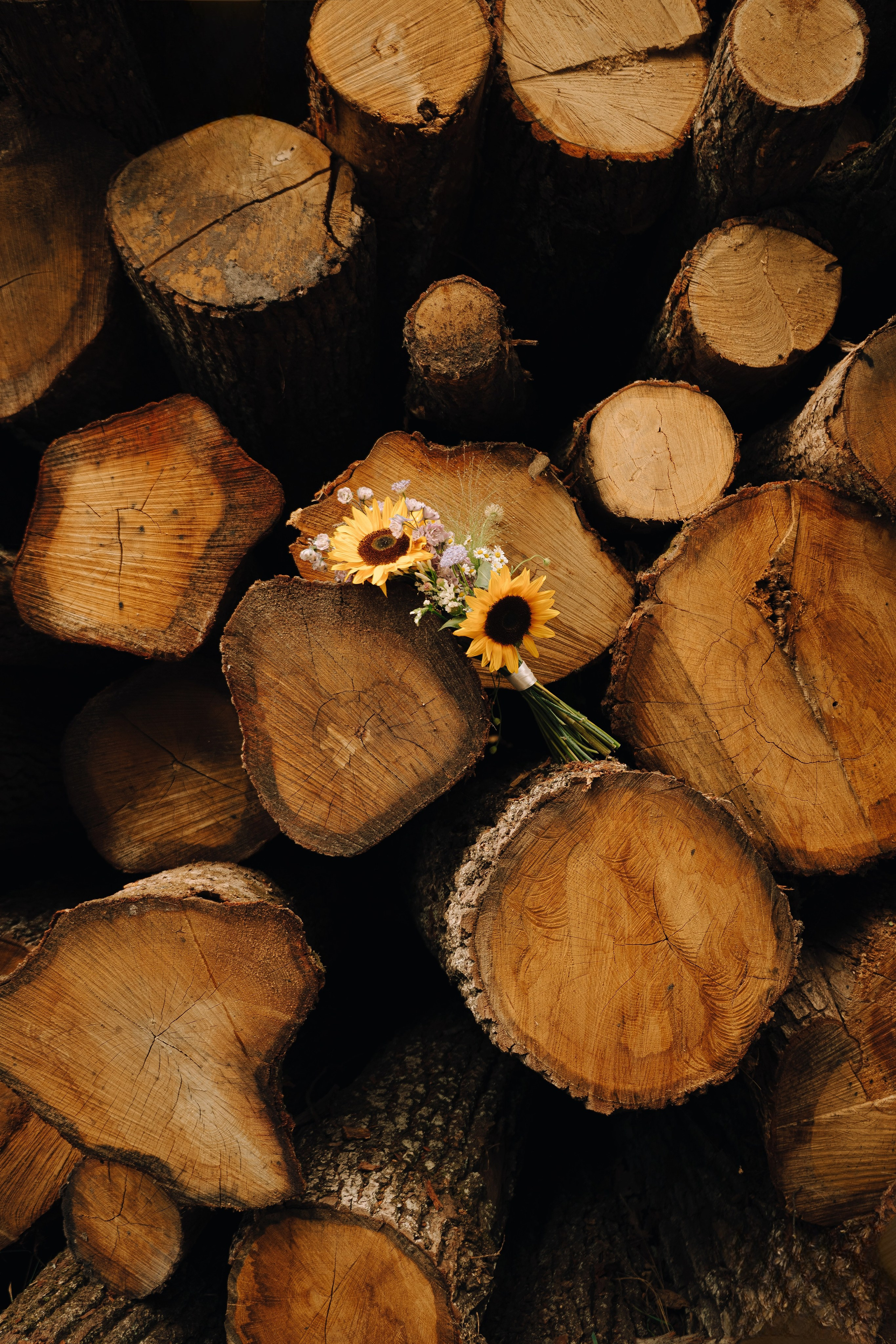 С любовью, по — русски. Свадебный фотограф