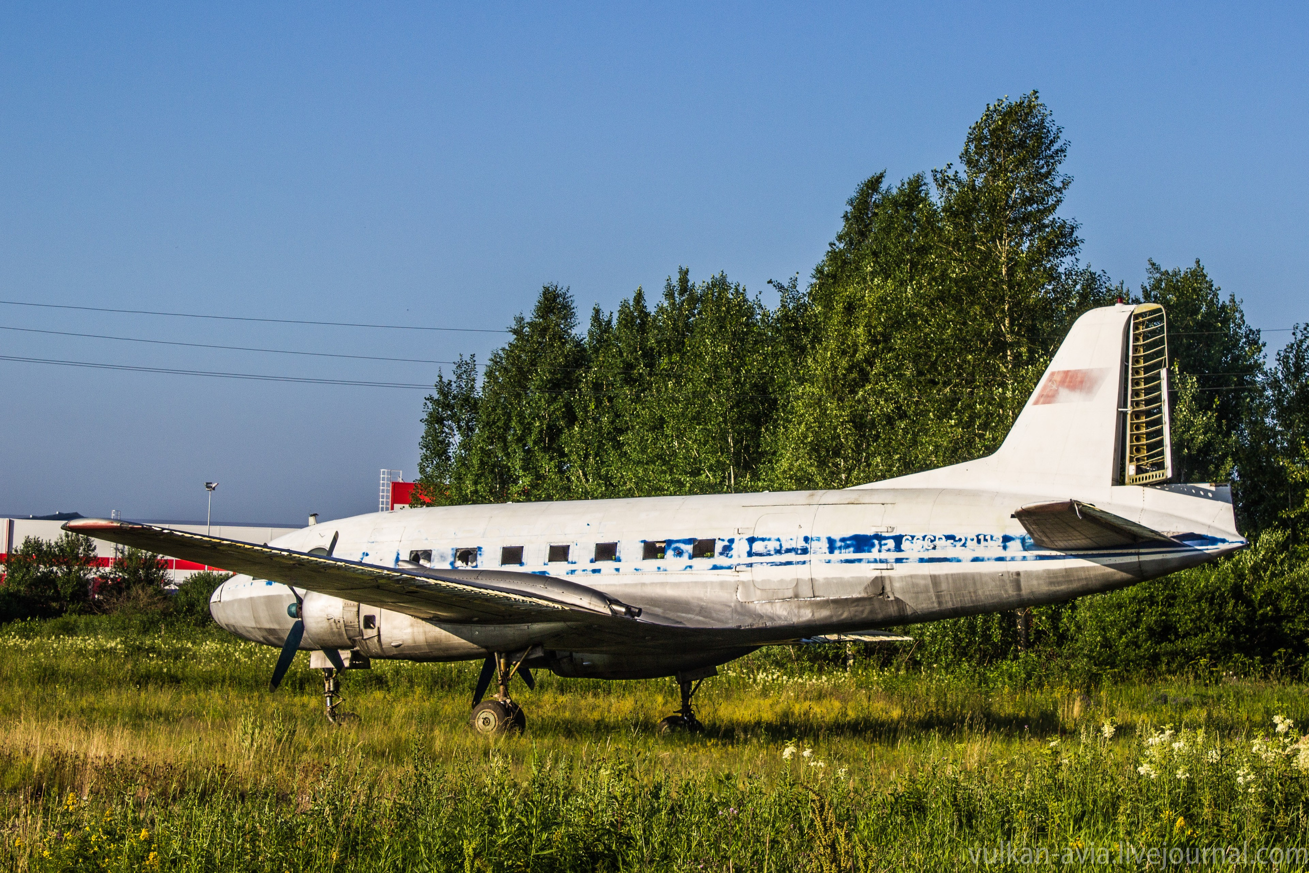 Ил-14 (Пермь, Фролы). Фотоальбом показывающий увлекательный мир авиации и мир медведей Андрея Иванова
