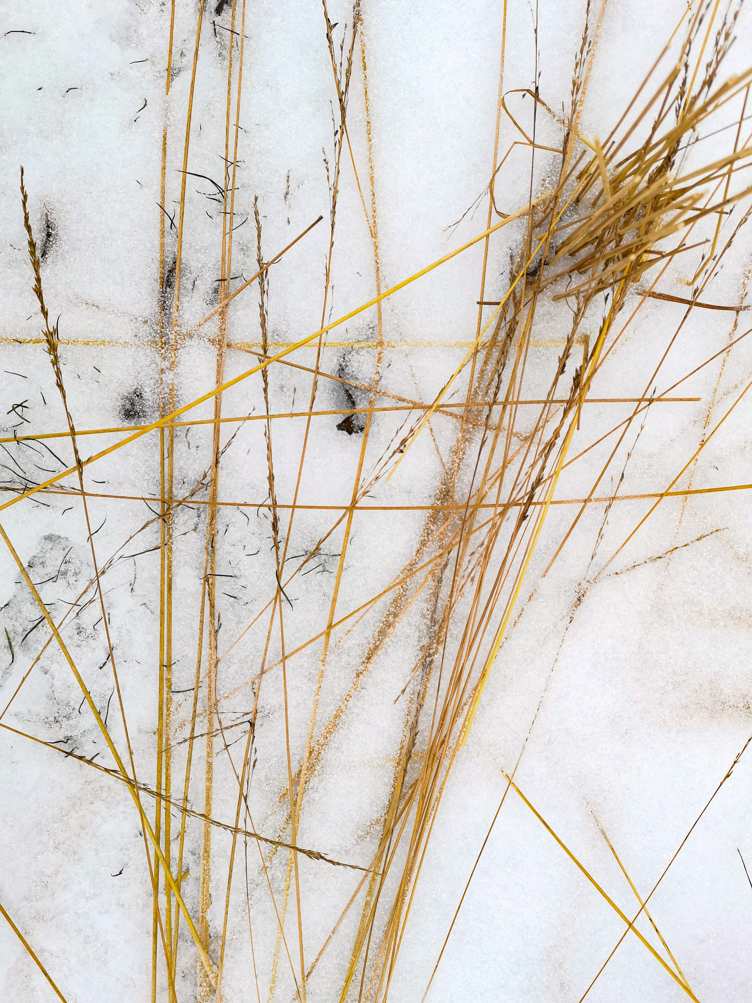 Landscape, nature, plants, details of the world around us. Personal website of photographer Dmitry Raikin