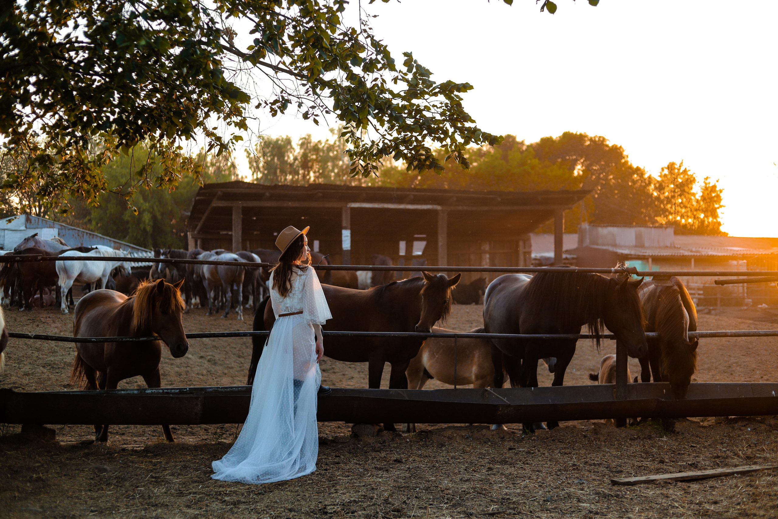 Поляна невест с дизайнером Nira fashion 08.08. Главная