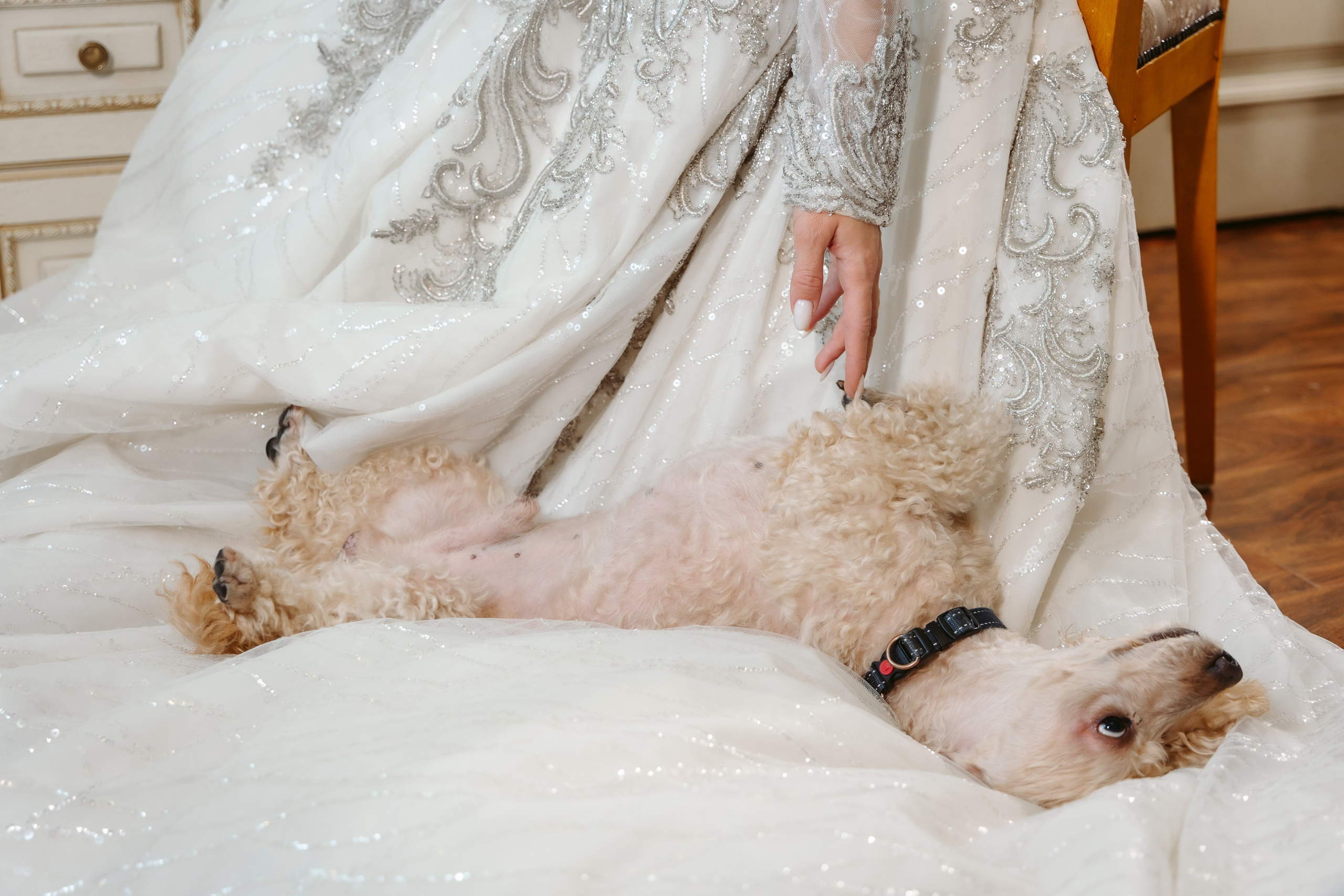 Свадьба А & А. Свадебный Фотограф в Москве Гор Магтагян