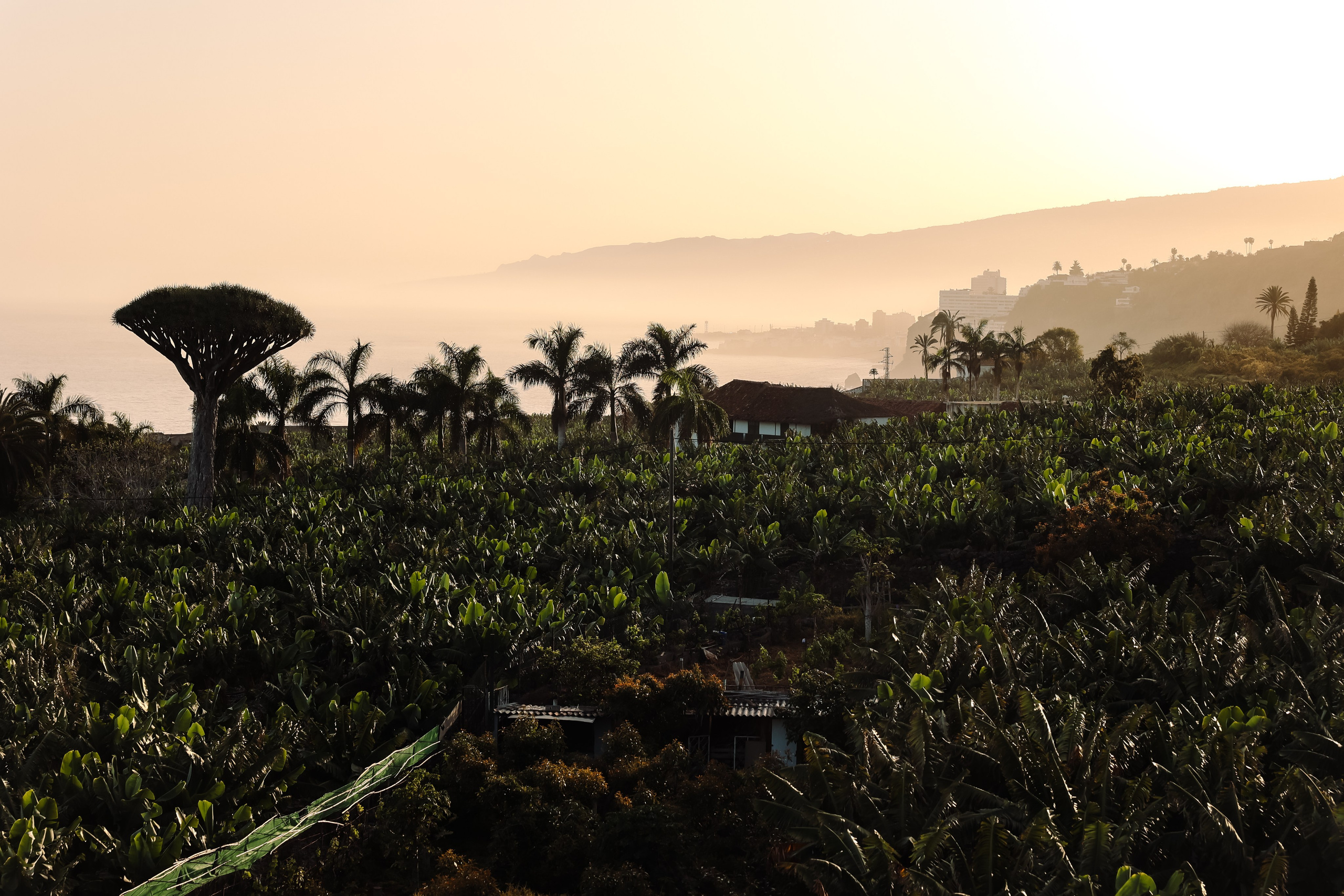 Casa Catuja. Фотограф Виктория Волкова. Москва