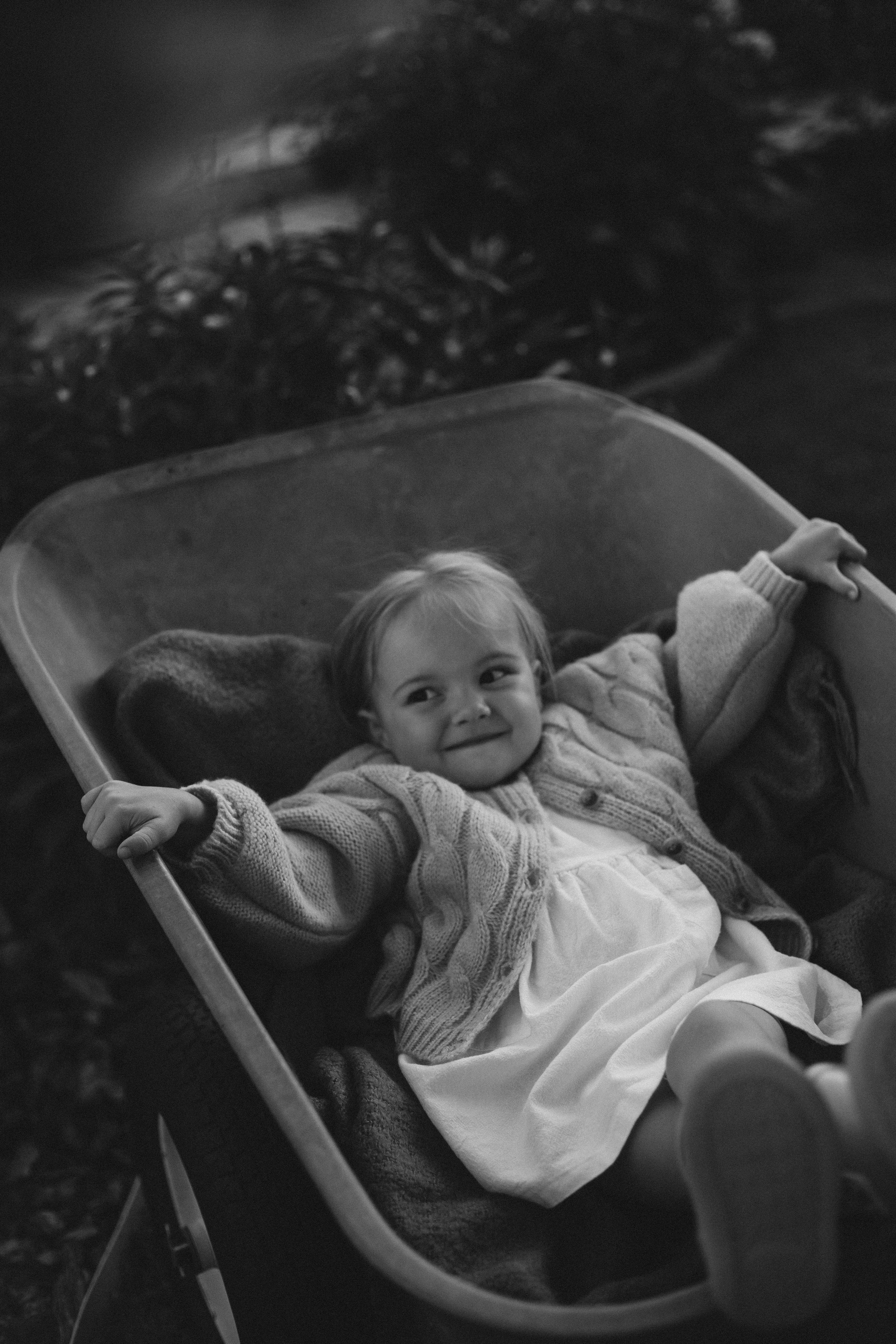 Дача. Главная