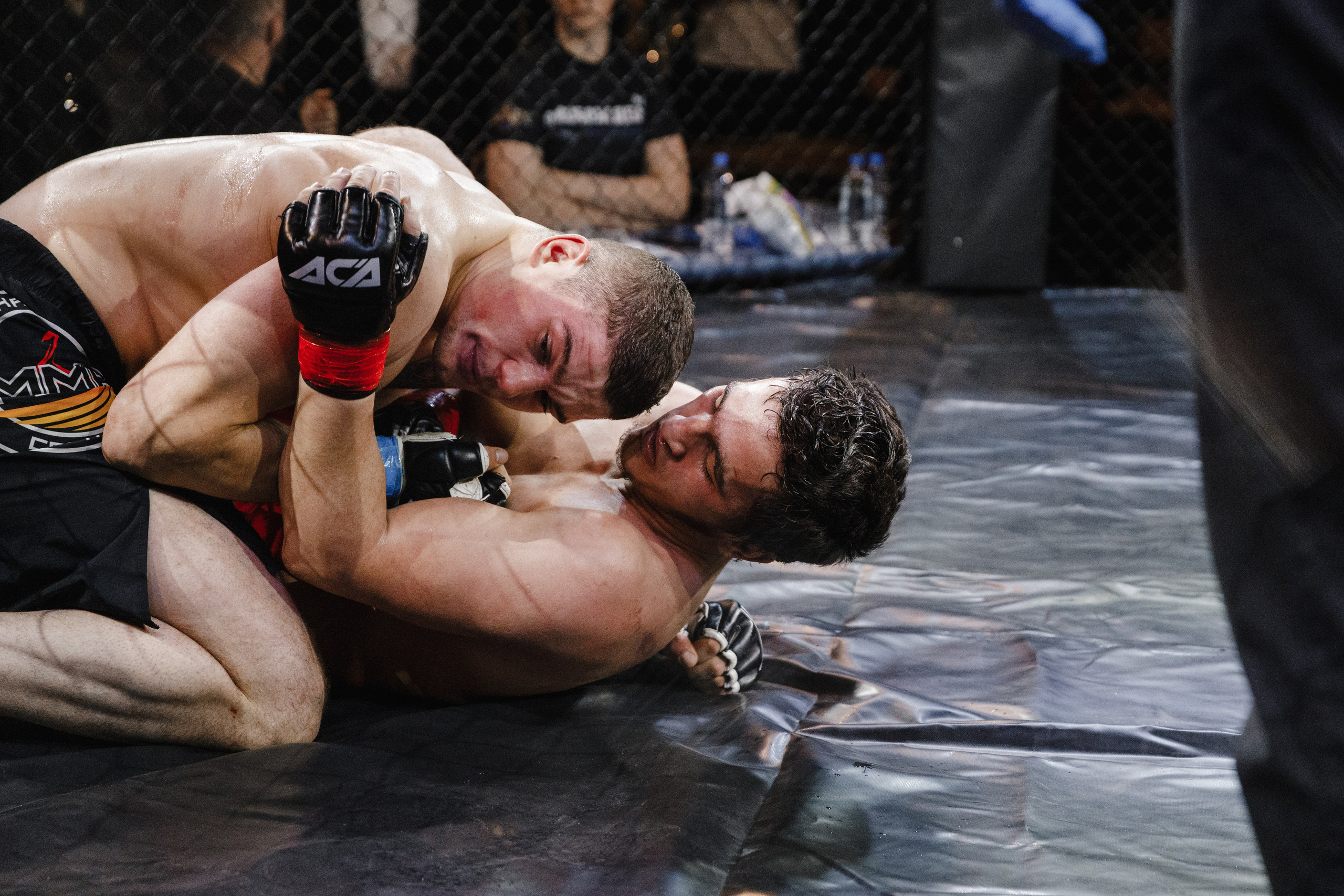 Турнир по ММА «Освобождение» 2023 г. Истра. Свадебный фотограф Фадеева Алёна