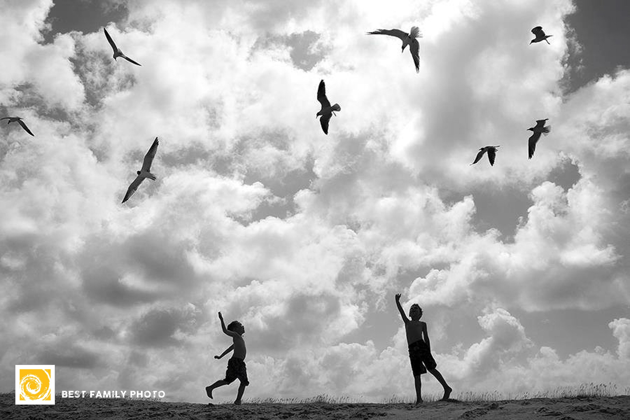 Виктория Васильева, Апекс, США