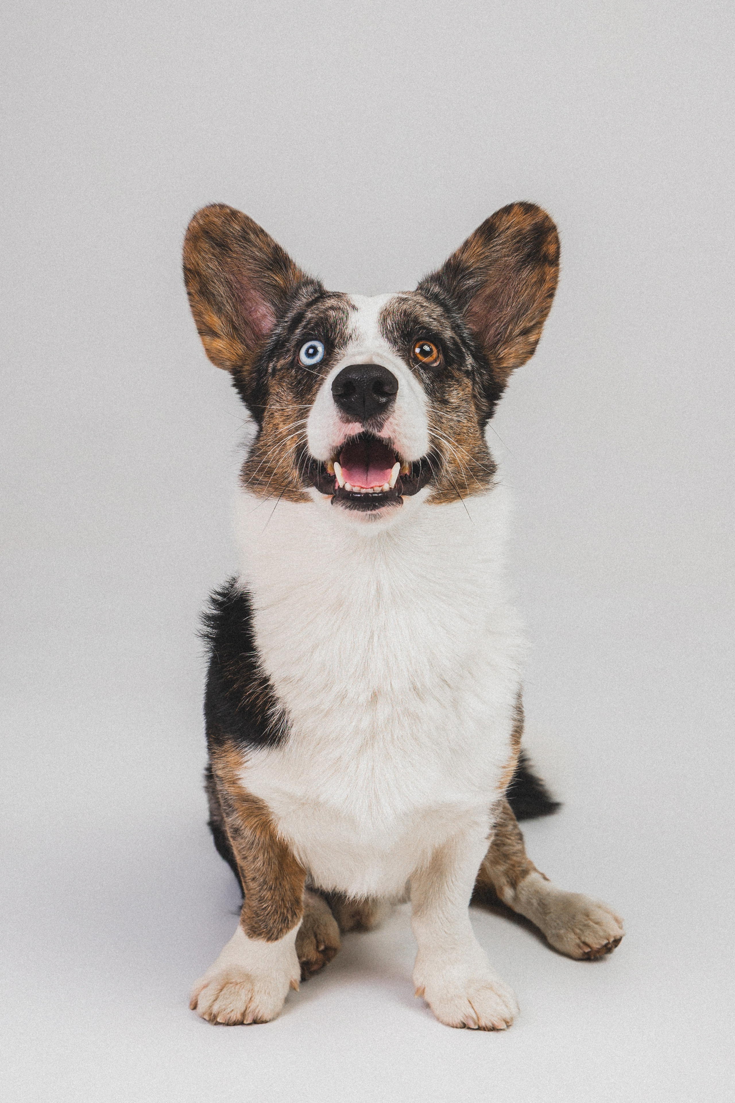 Анатолий и Рагнар