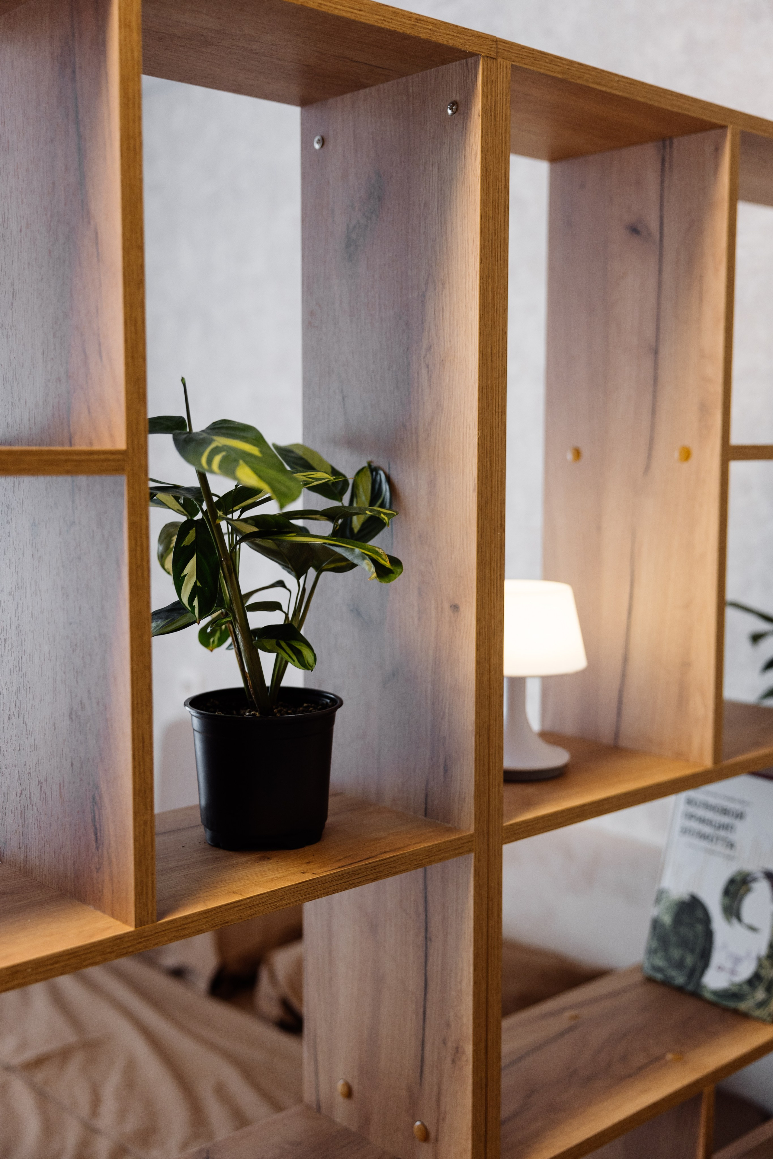 Недвижимость. Майорова Валерия Фотограф Ставрополь