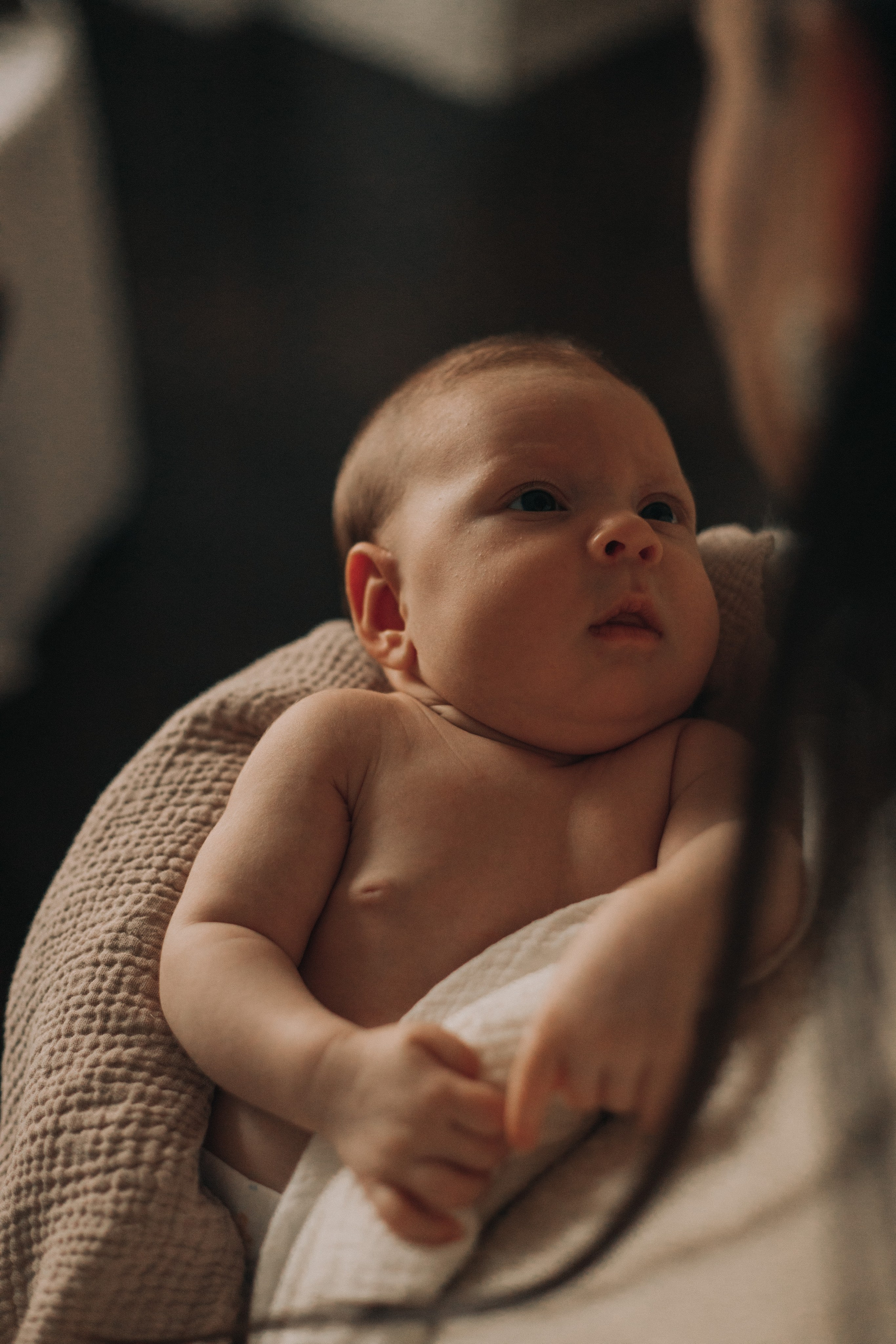 Втроем. Семейный фотограф Санкт-Петербург СПб Анастасия Гаврилюк