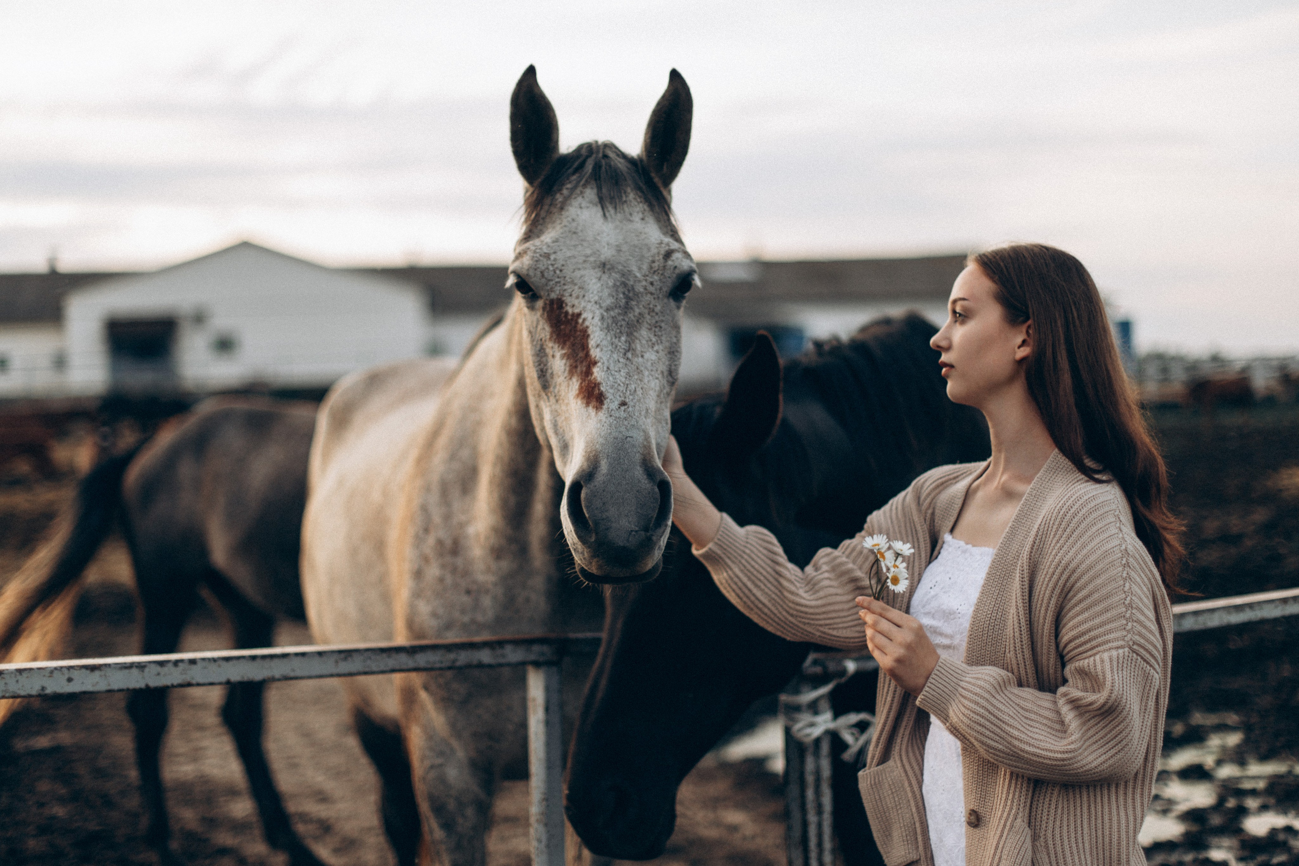 Что-то на закатном. Репортажный и детский фотограф в Минске