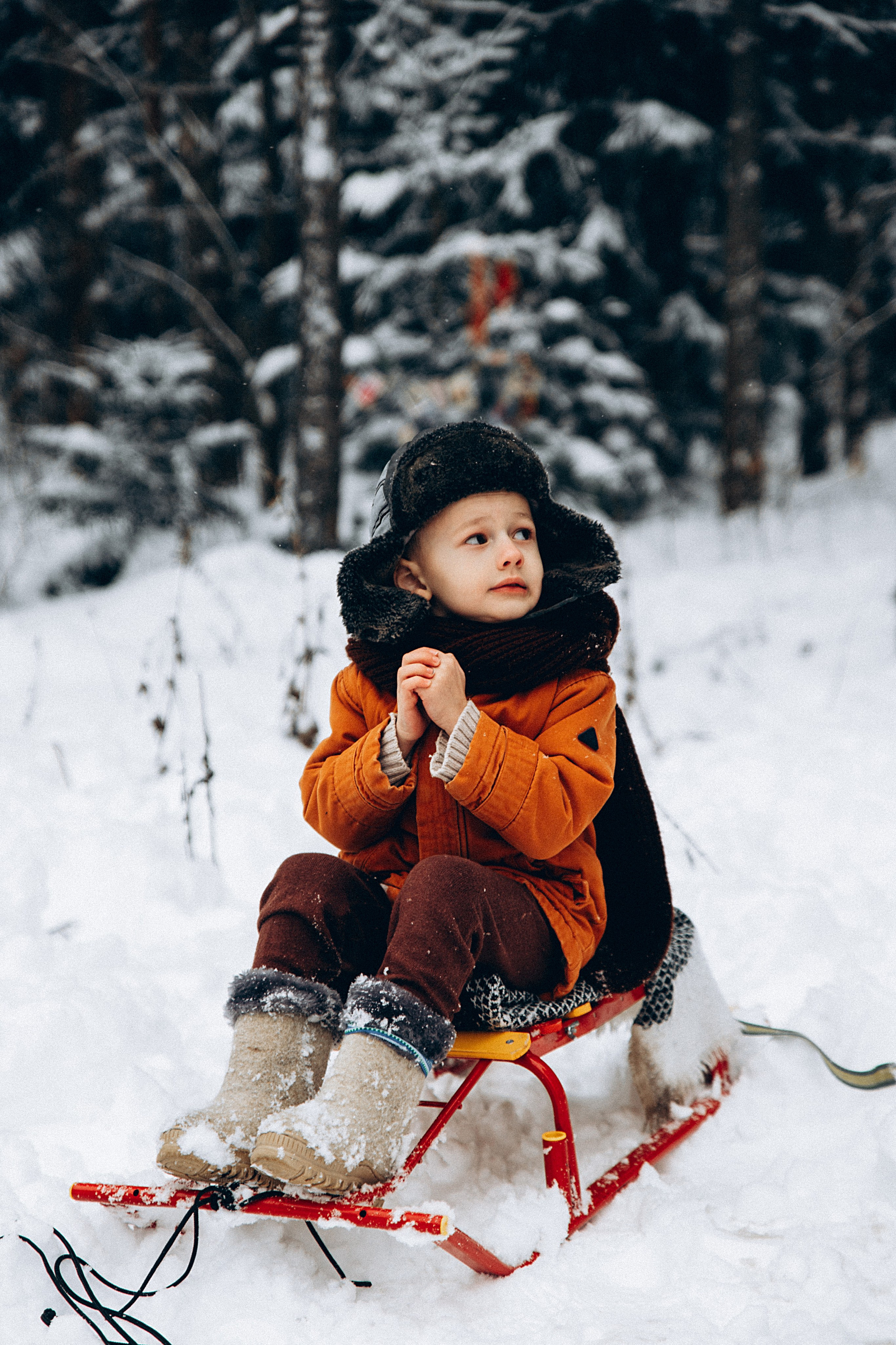 Зимние радости. Репортажный и детский фотограф в Минске