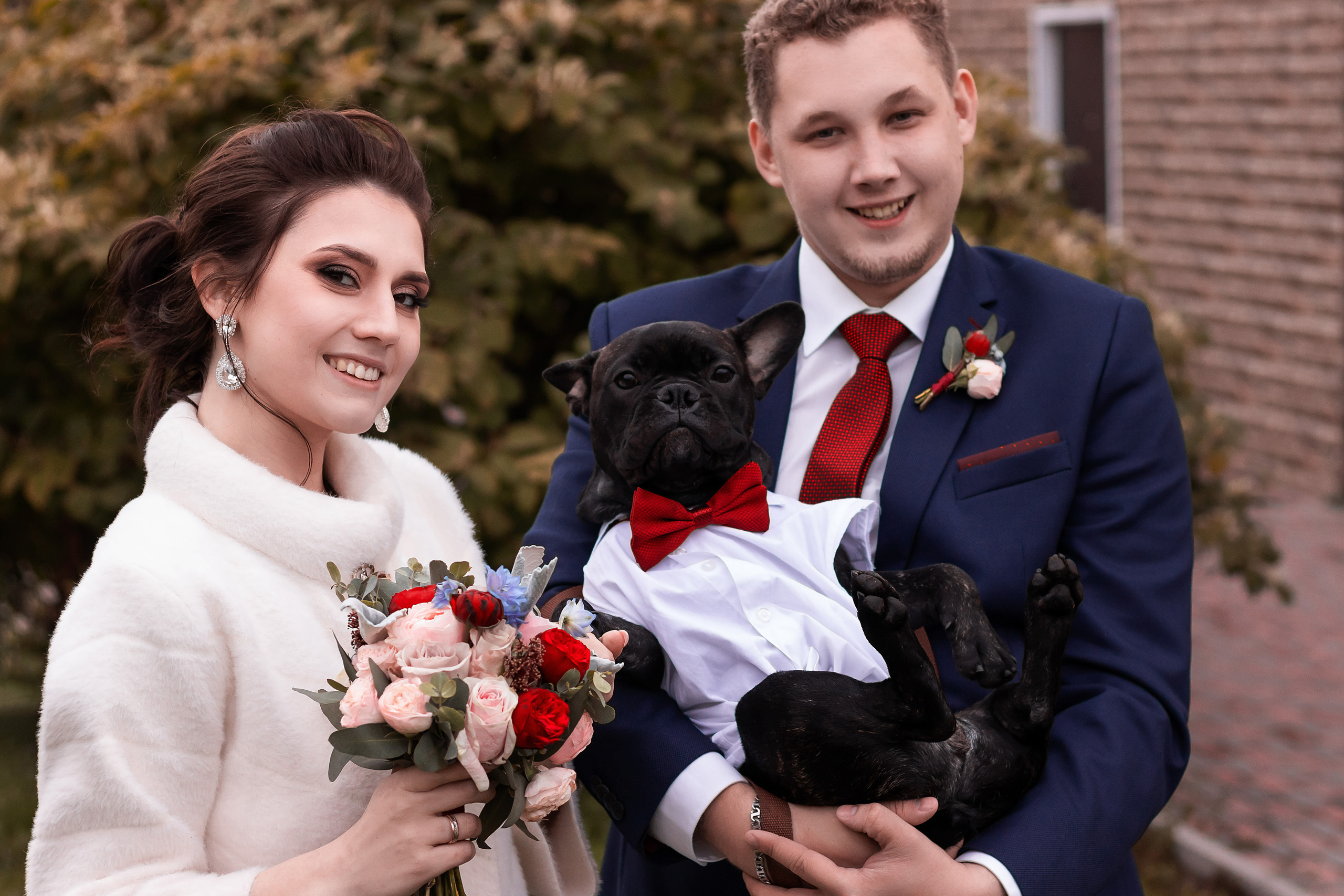 молодожены со своей собакой томск