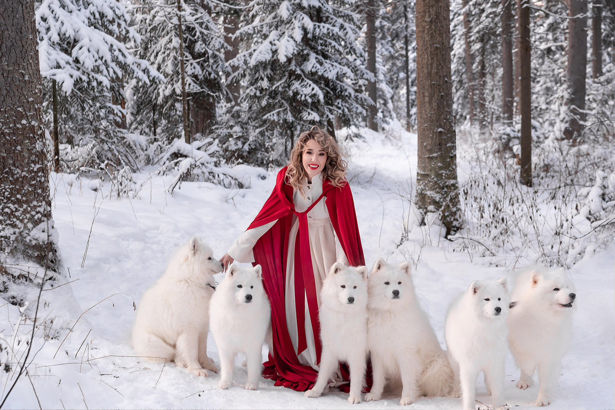 самоедские лайки фотосессия томск
