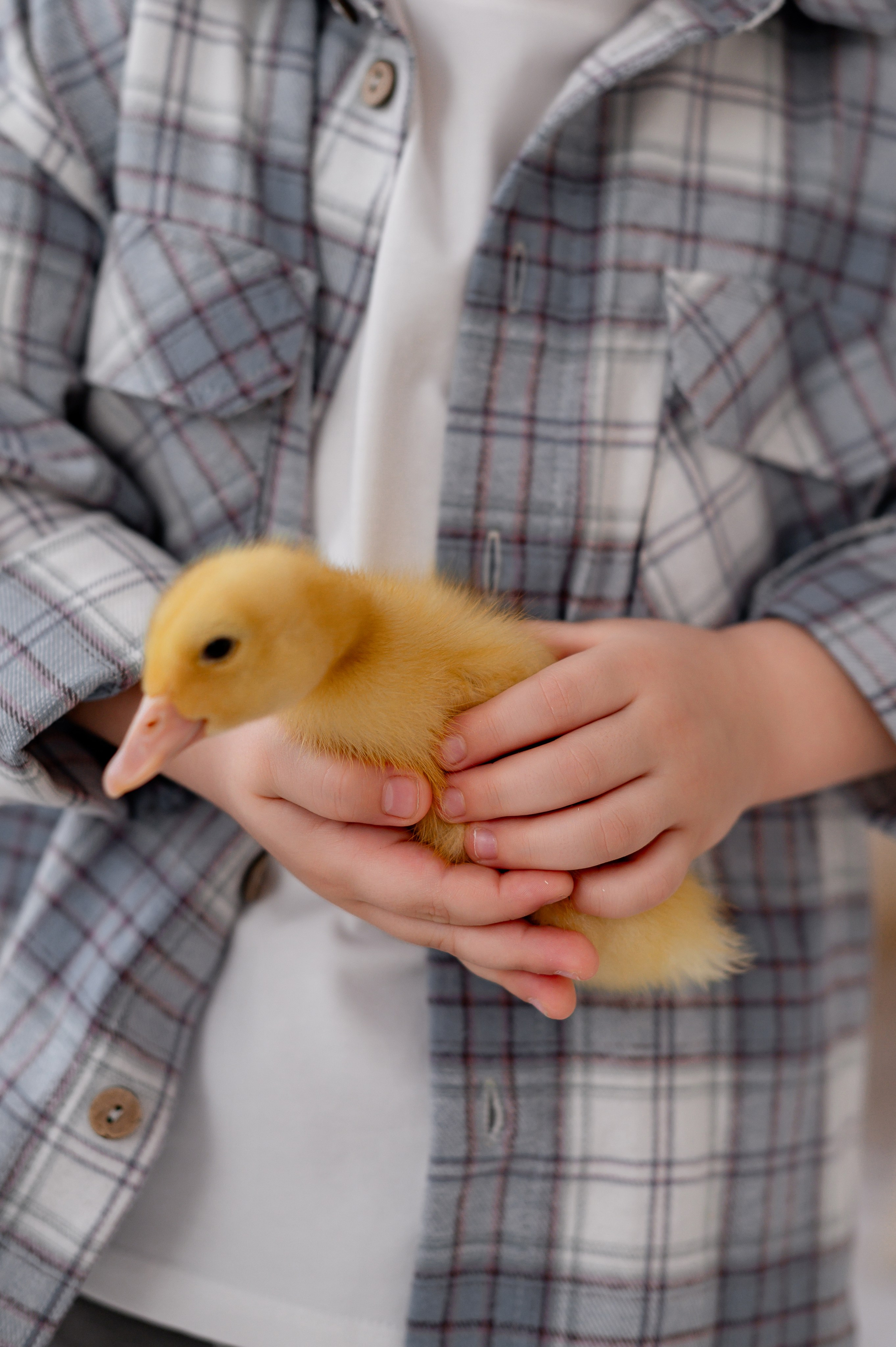 Лев Арина Вика Алена. Фотограф Татьяна Иванчикова