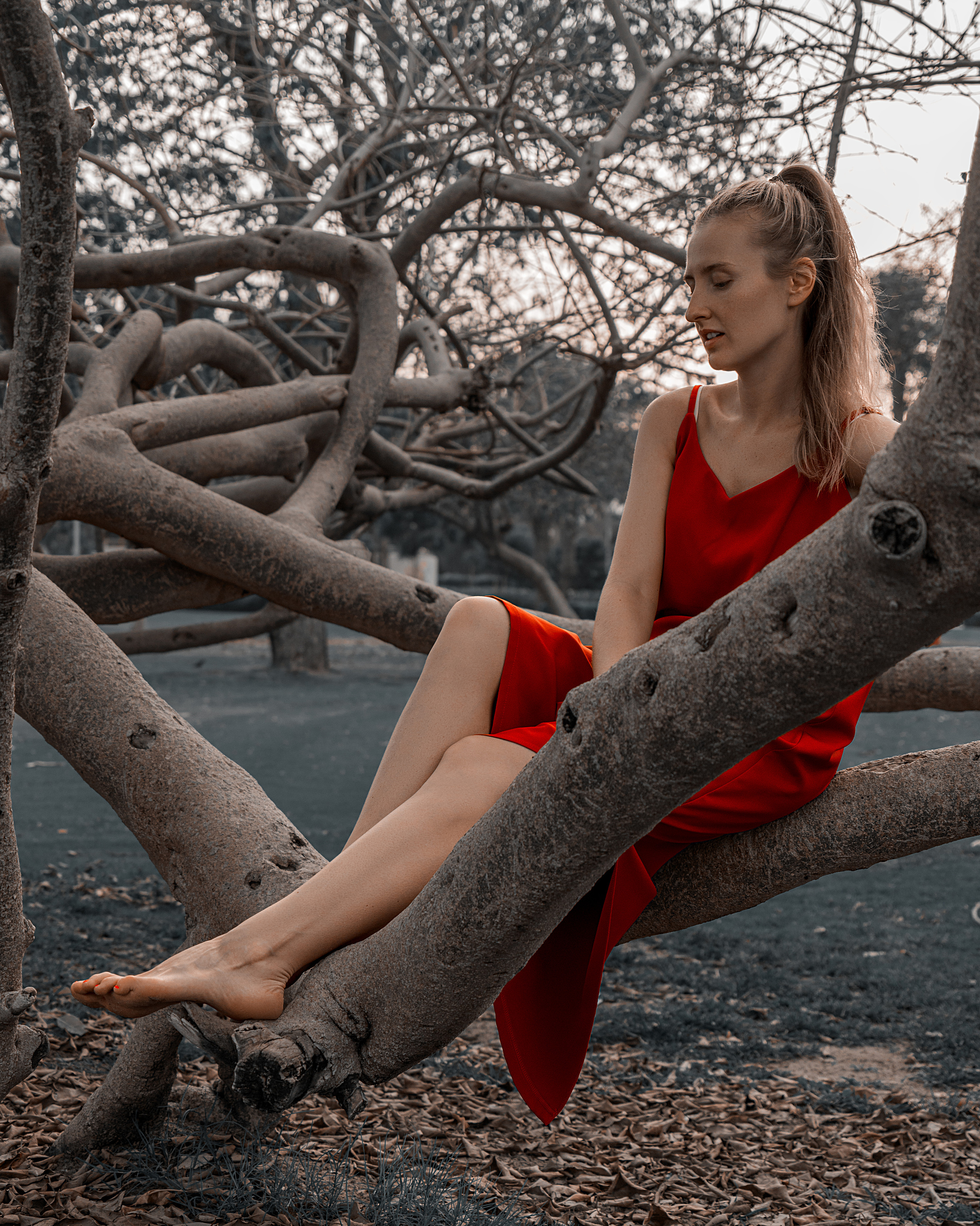 RED DRESS. Igor Kirsanov
