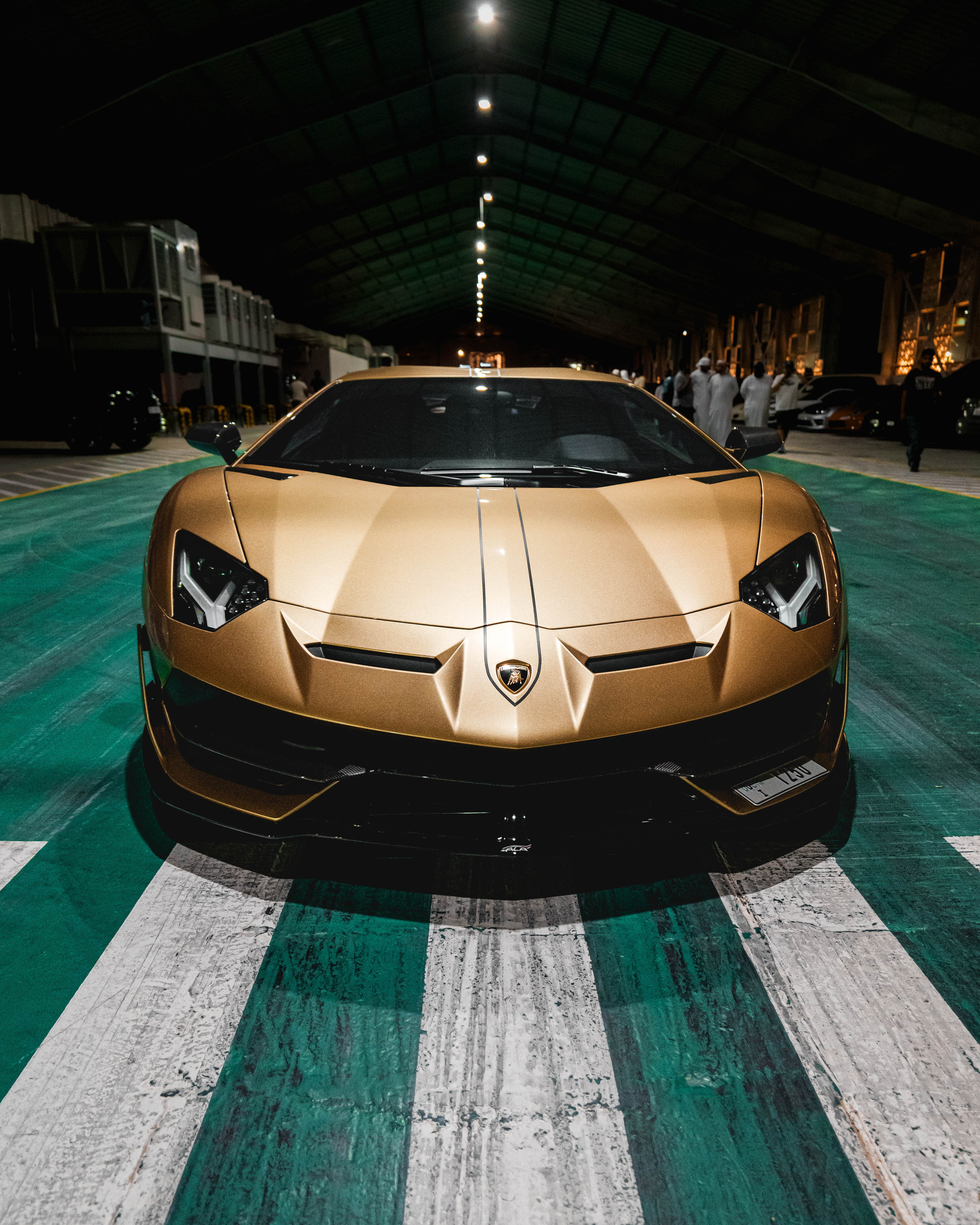 FLAT 12. Igor Kirsanov