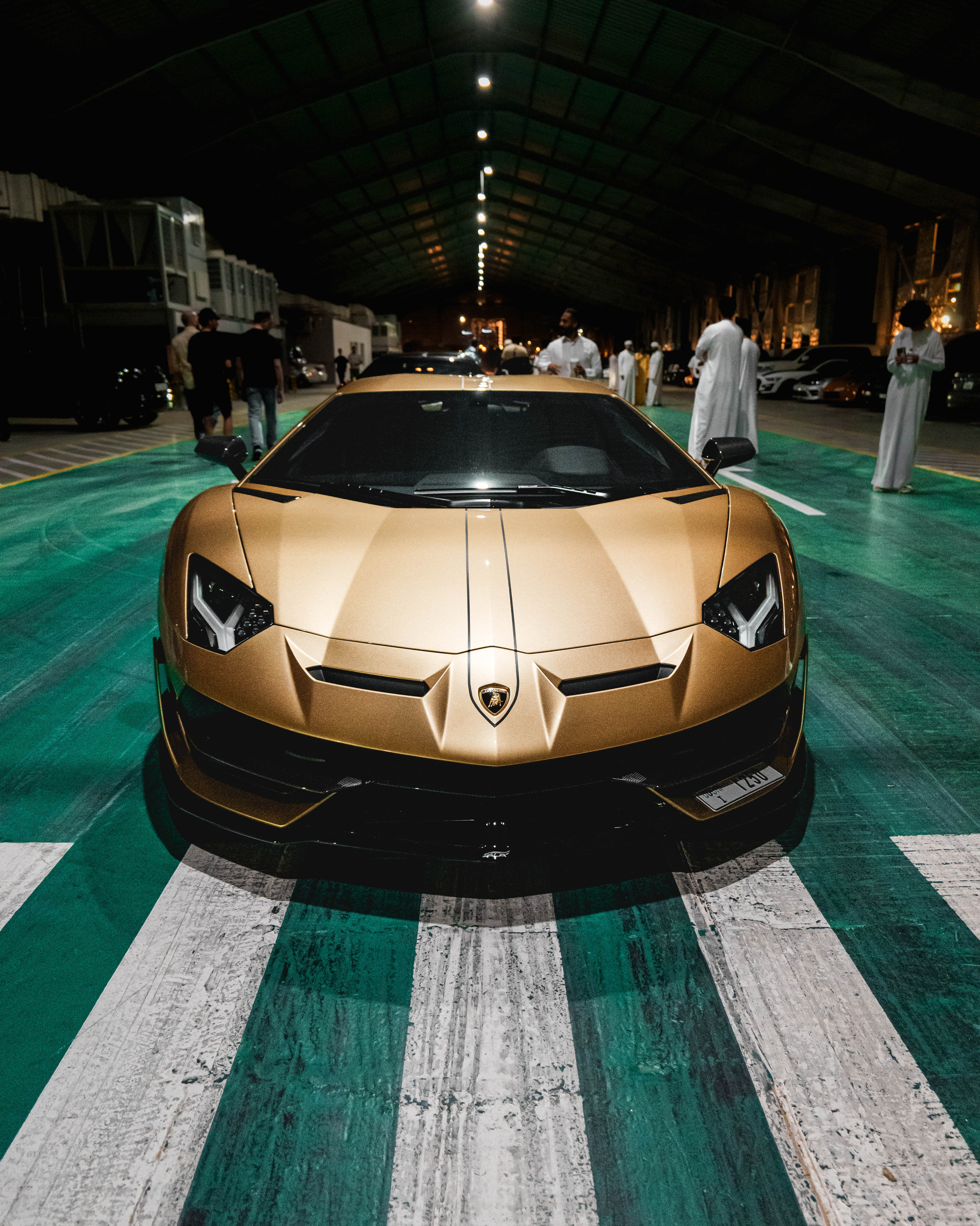 FLAT 12. Igor Kirsanov