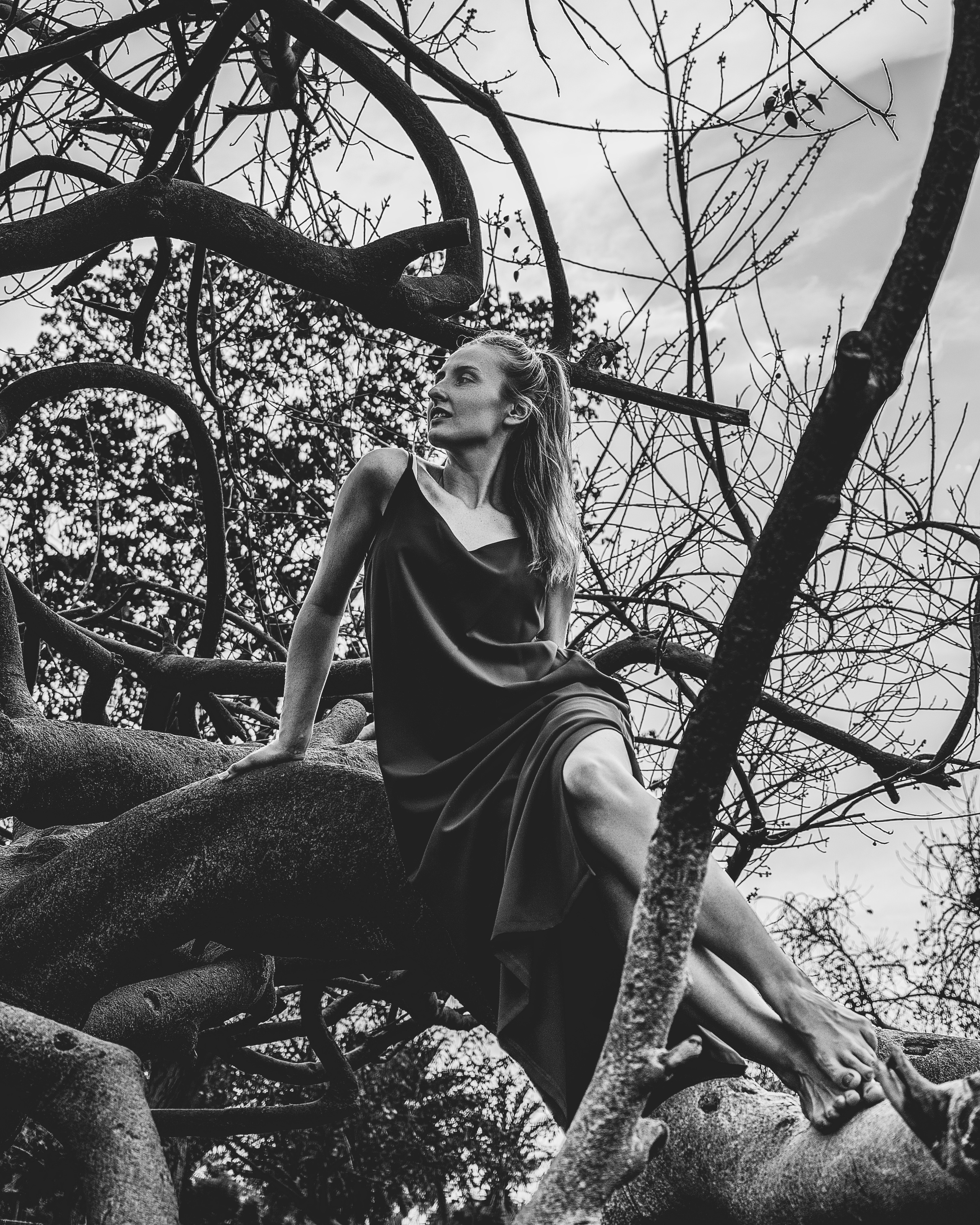 RED DRESS. Igor Kirsanov