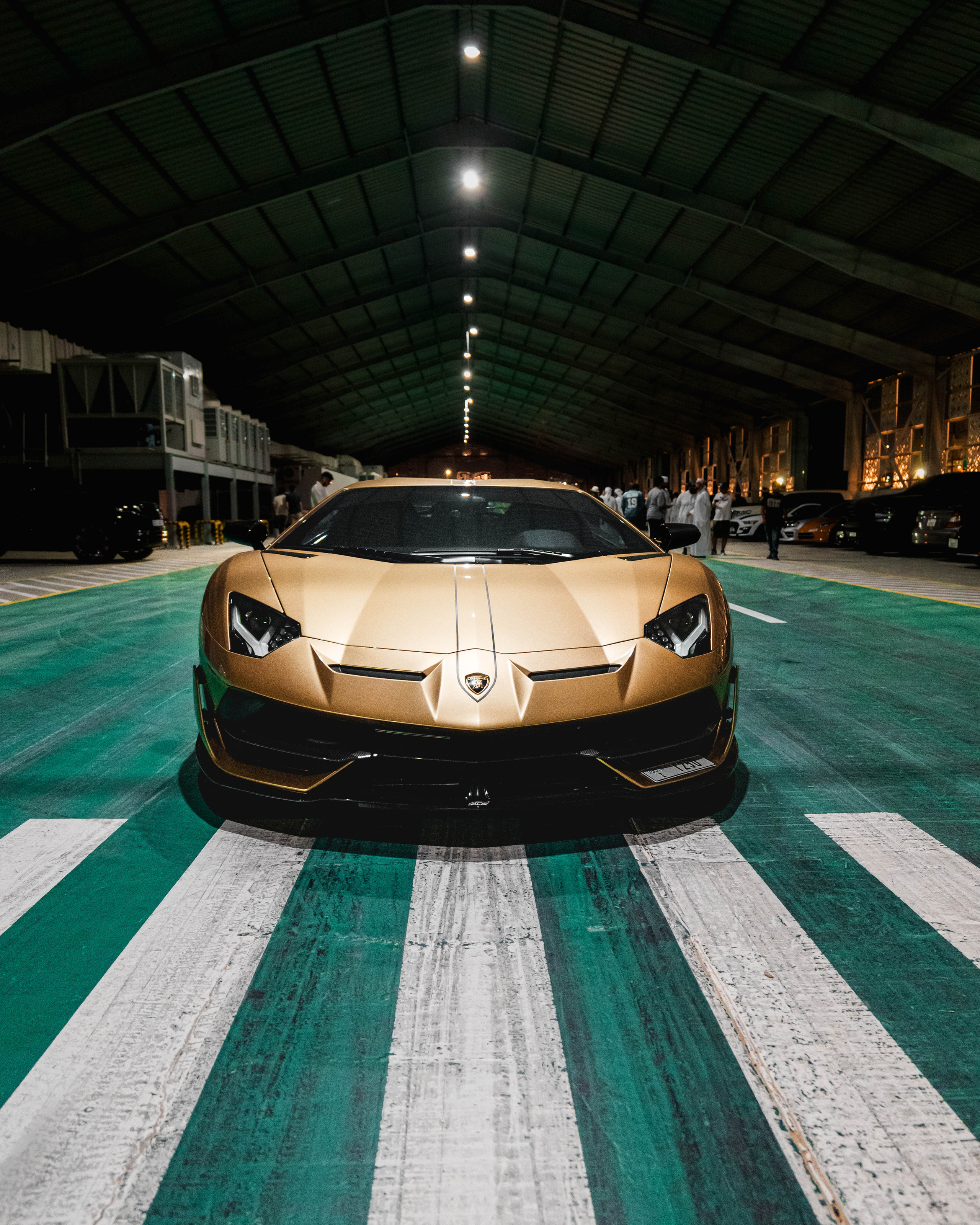 FLAT 12. Igor Kirsanov