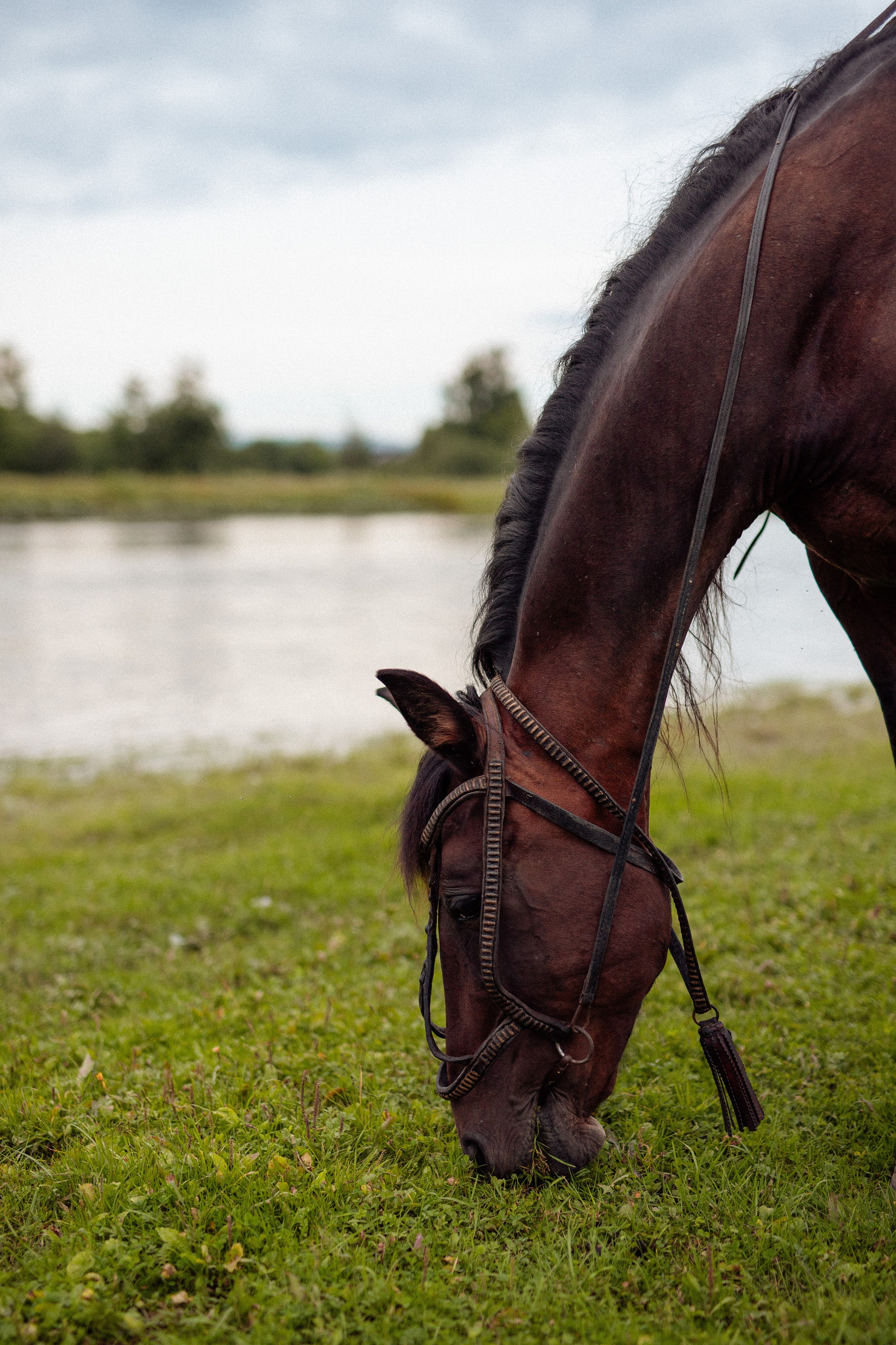 Лилия. Фотограф Анастасия Петрова