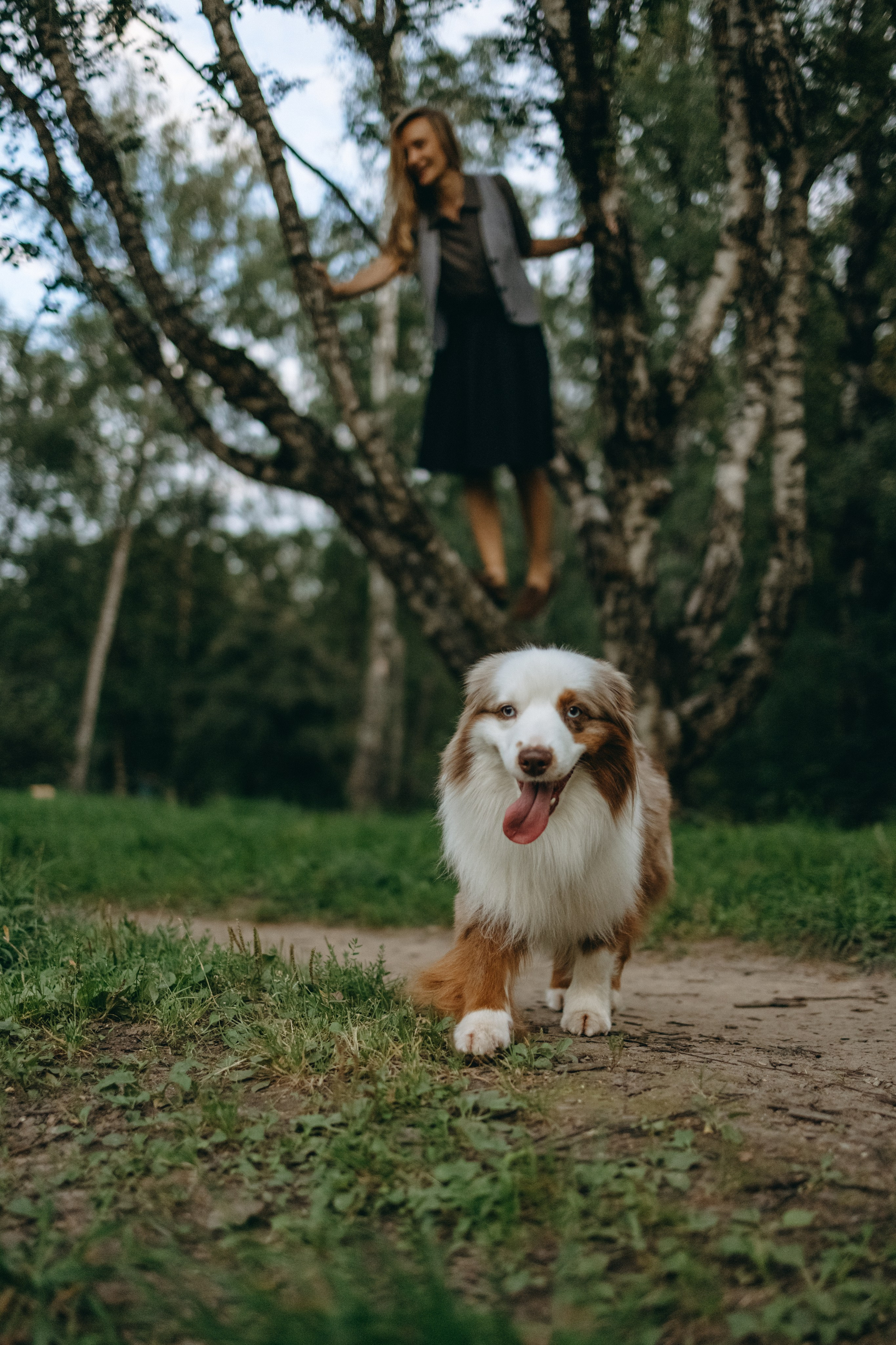 Маша и Эклер. Фотограф — Анималист | Санкт-Петербург