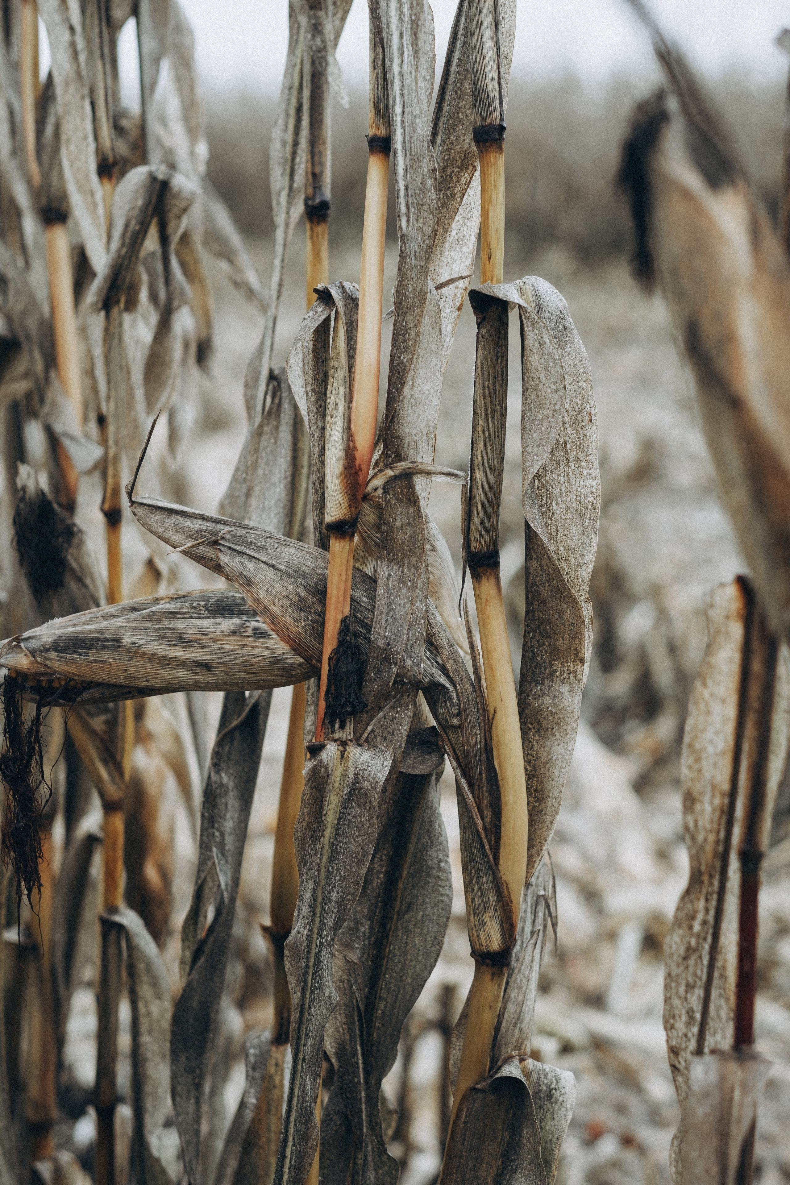 Портфолио. Фотограф Надежда Никитина