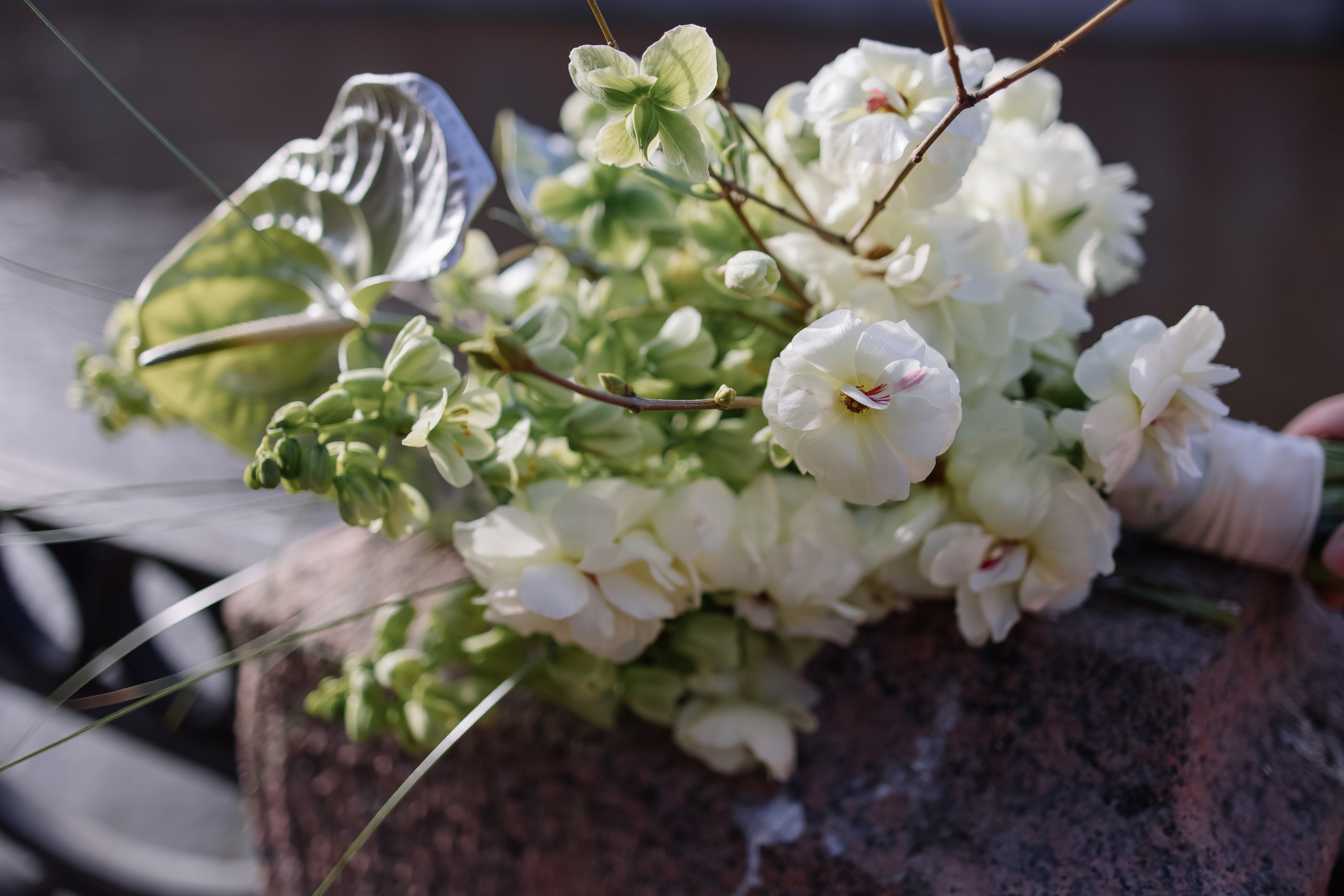 А&N. Свадебный фотограф