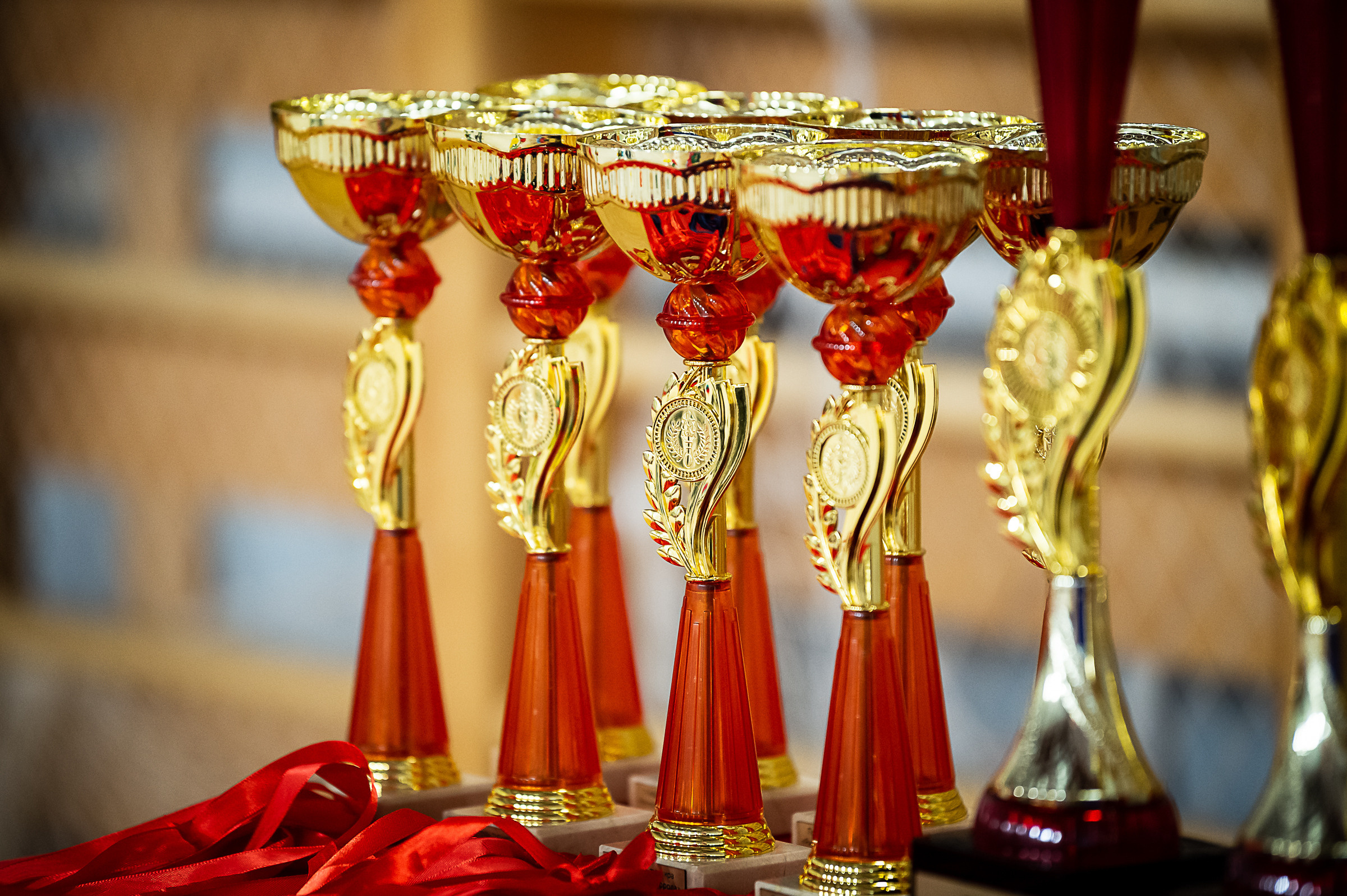 15-й Открытый турнир по художественной гимнастике «РИТМЫ СТАРОГО ГОРОДА». Спортивный и репортажный фотограф в Санкт-Петербурге Алексей Ковалев